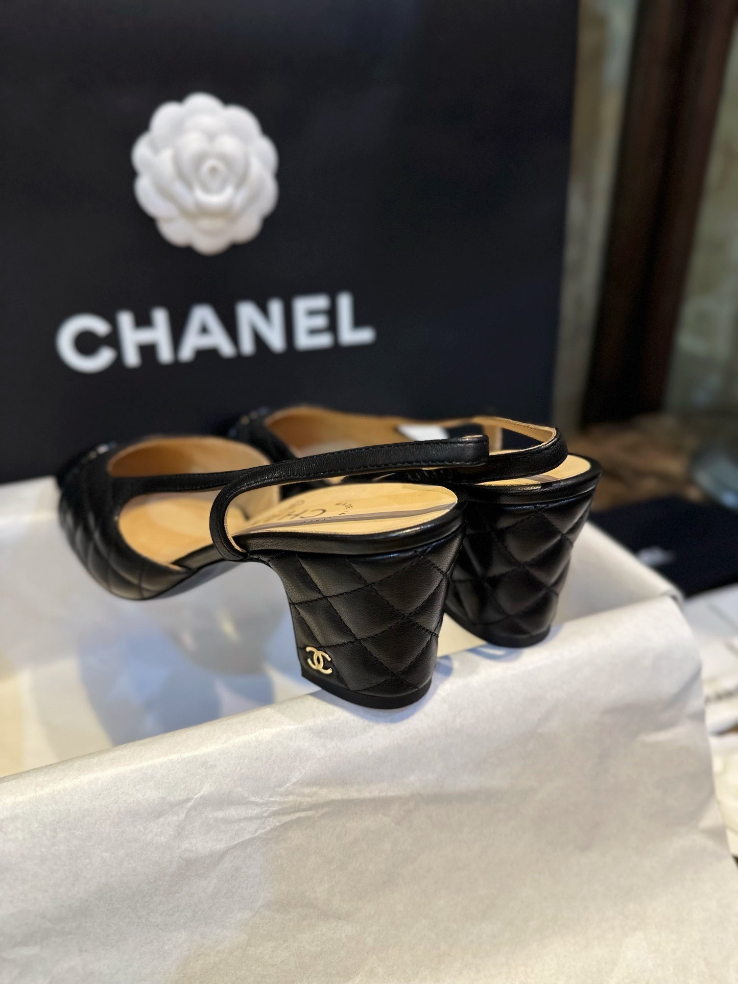 24s slingback #284