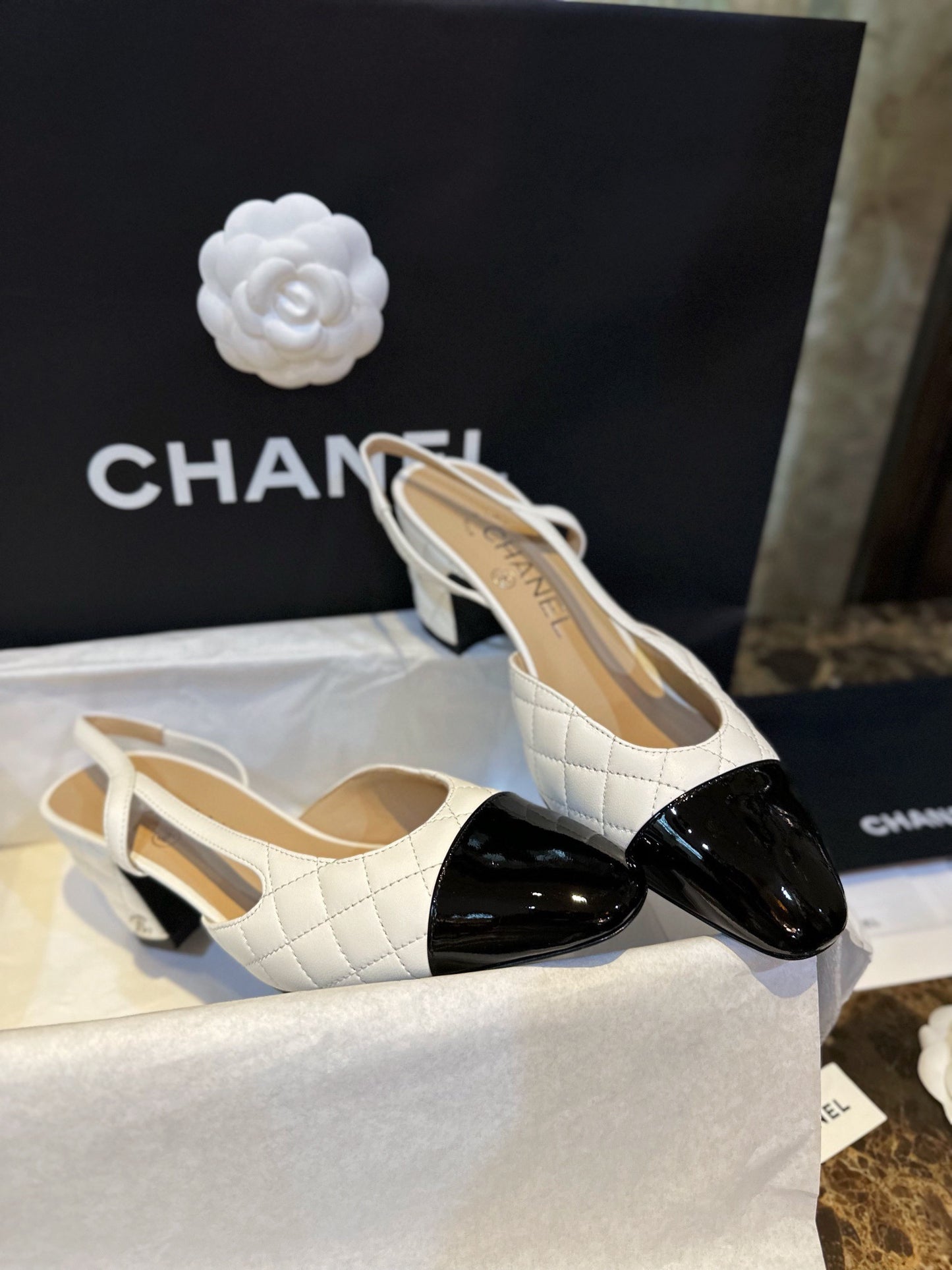 24s slingback #283