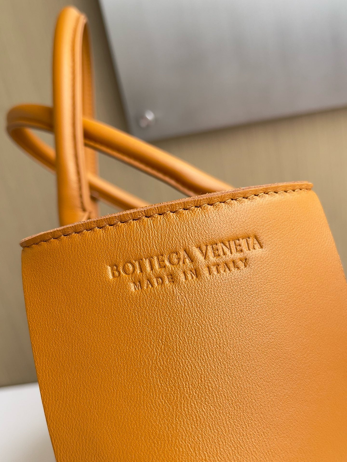 BV Mini Tote #2716