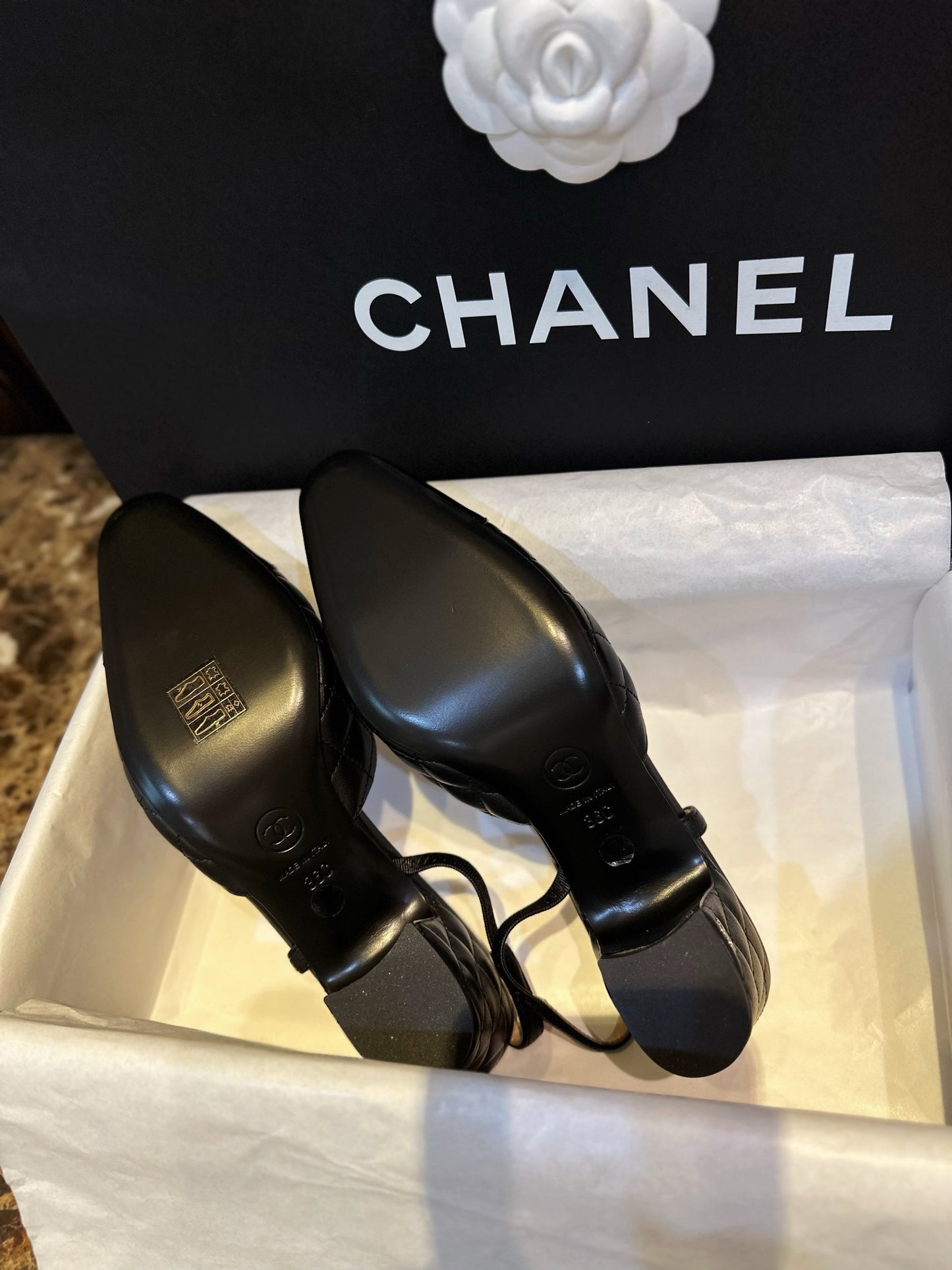 24s slingback #284