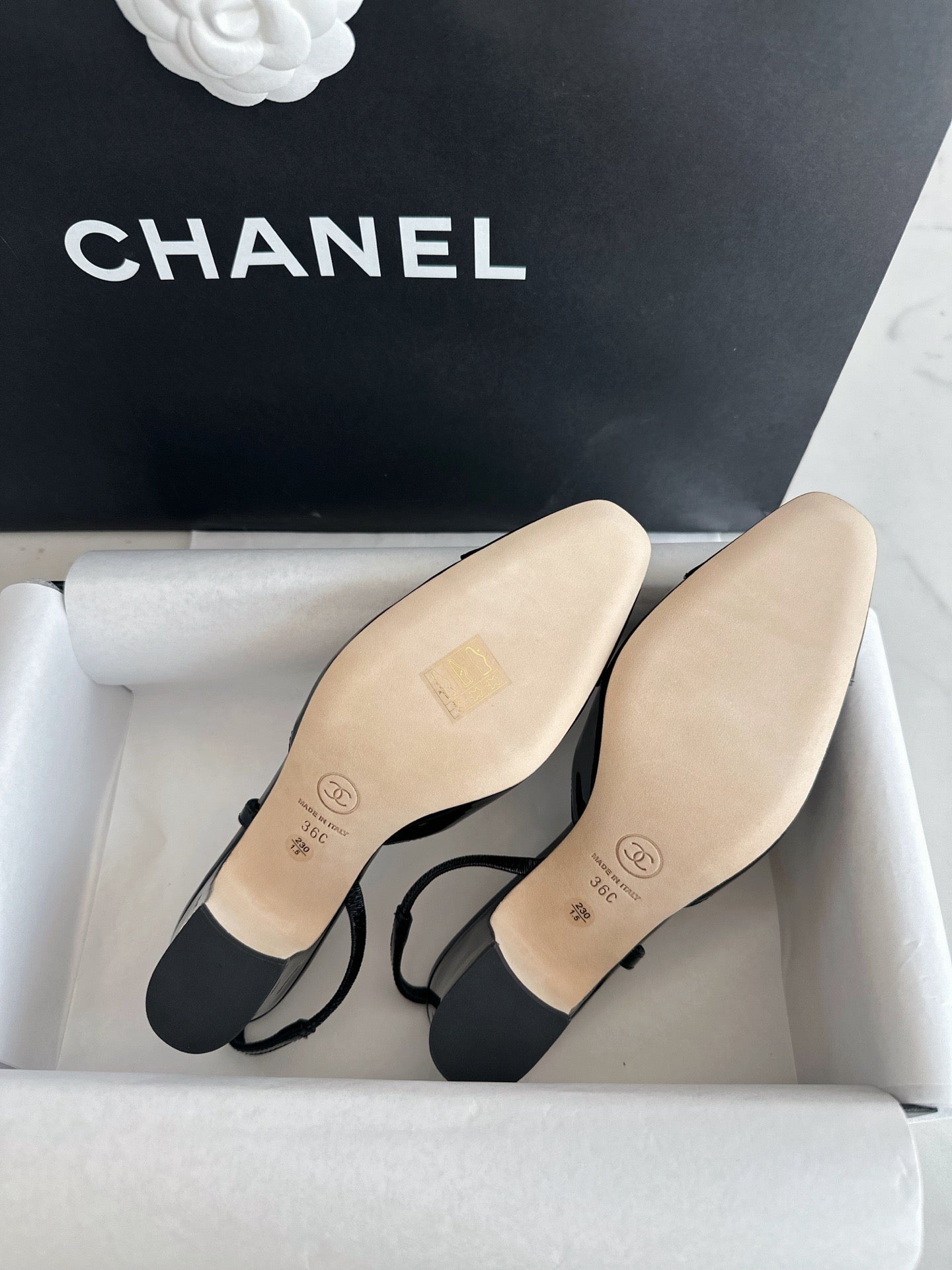 24s slingback #1529