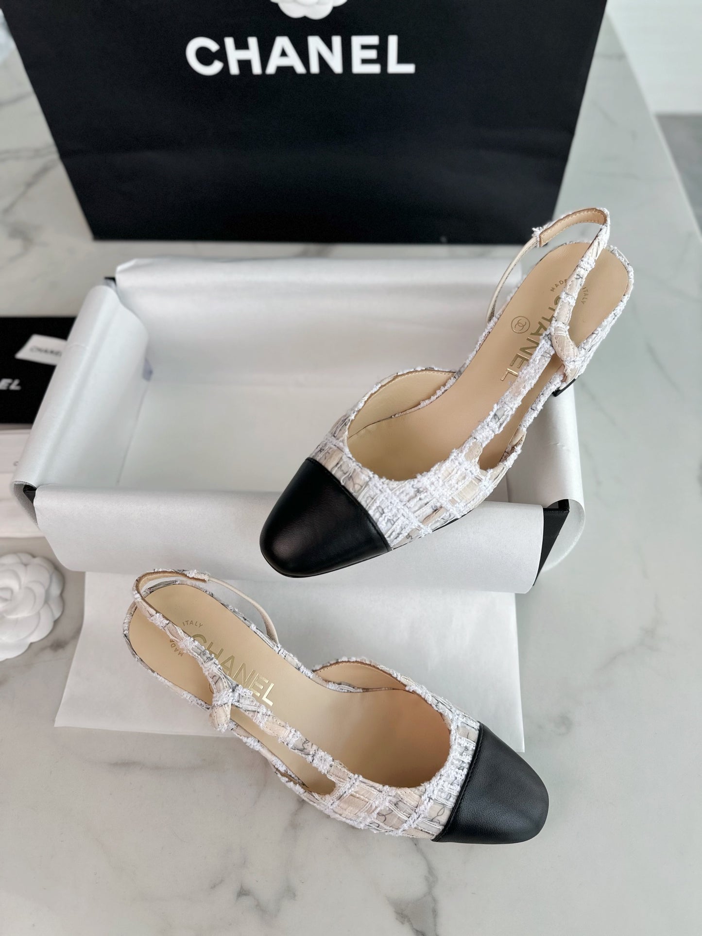 24s slingback #296
