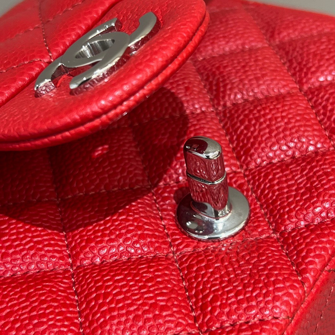 CF 17 Bag #786