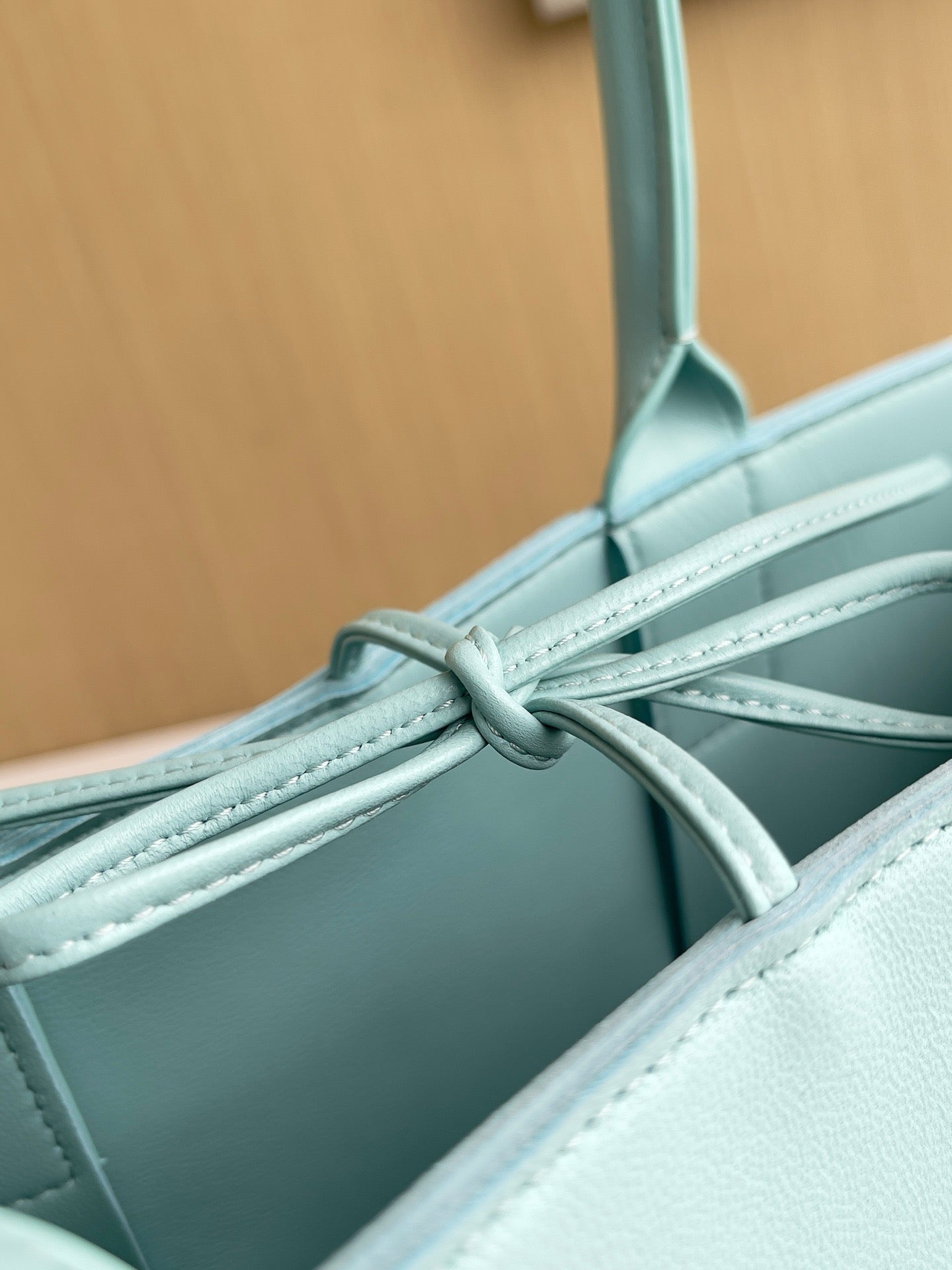 BV Mini Tote #2722
