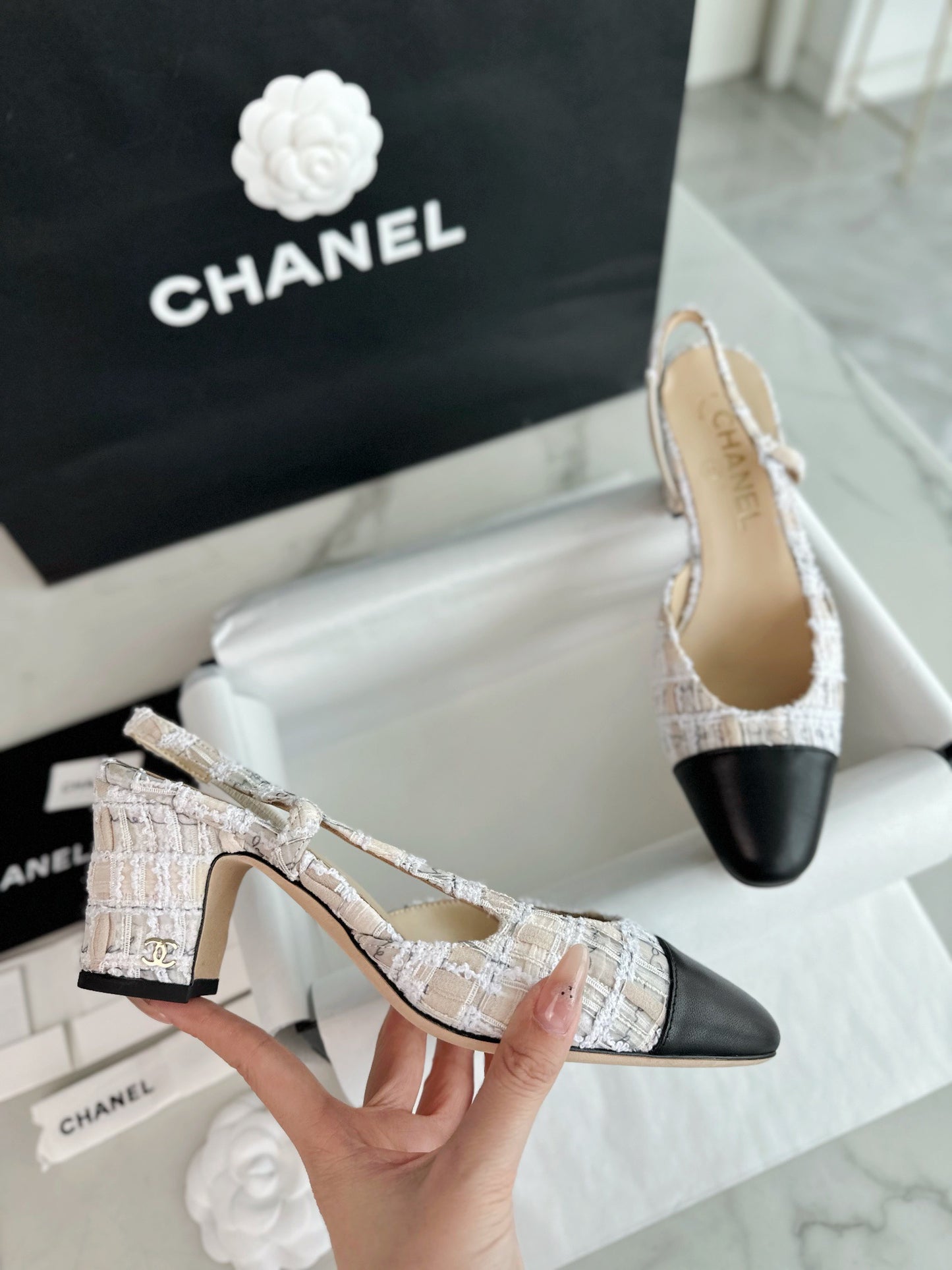 24s slingback #296