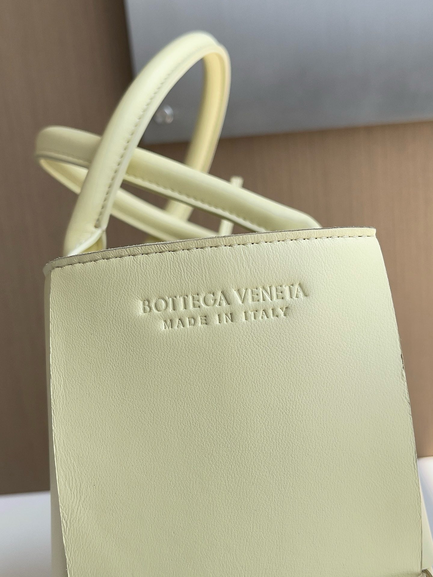 BV Mini Tote #2699