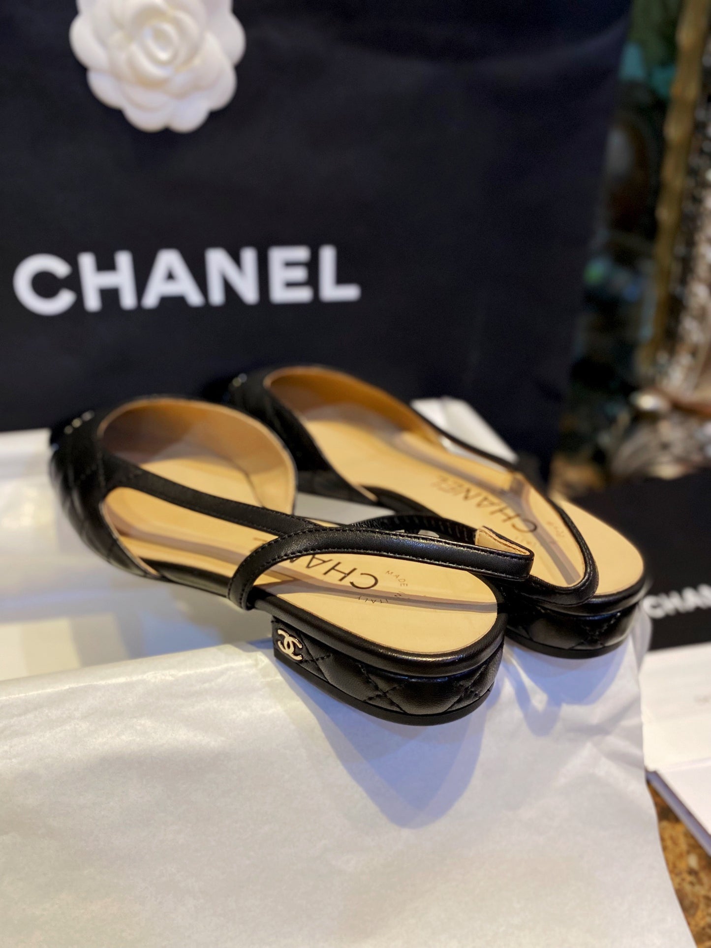 24s slingback #285