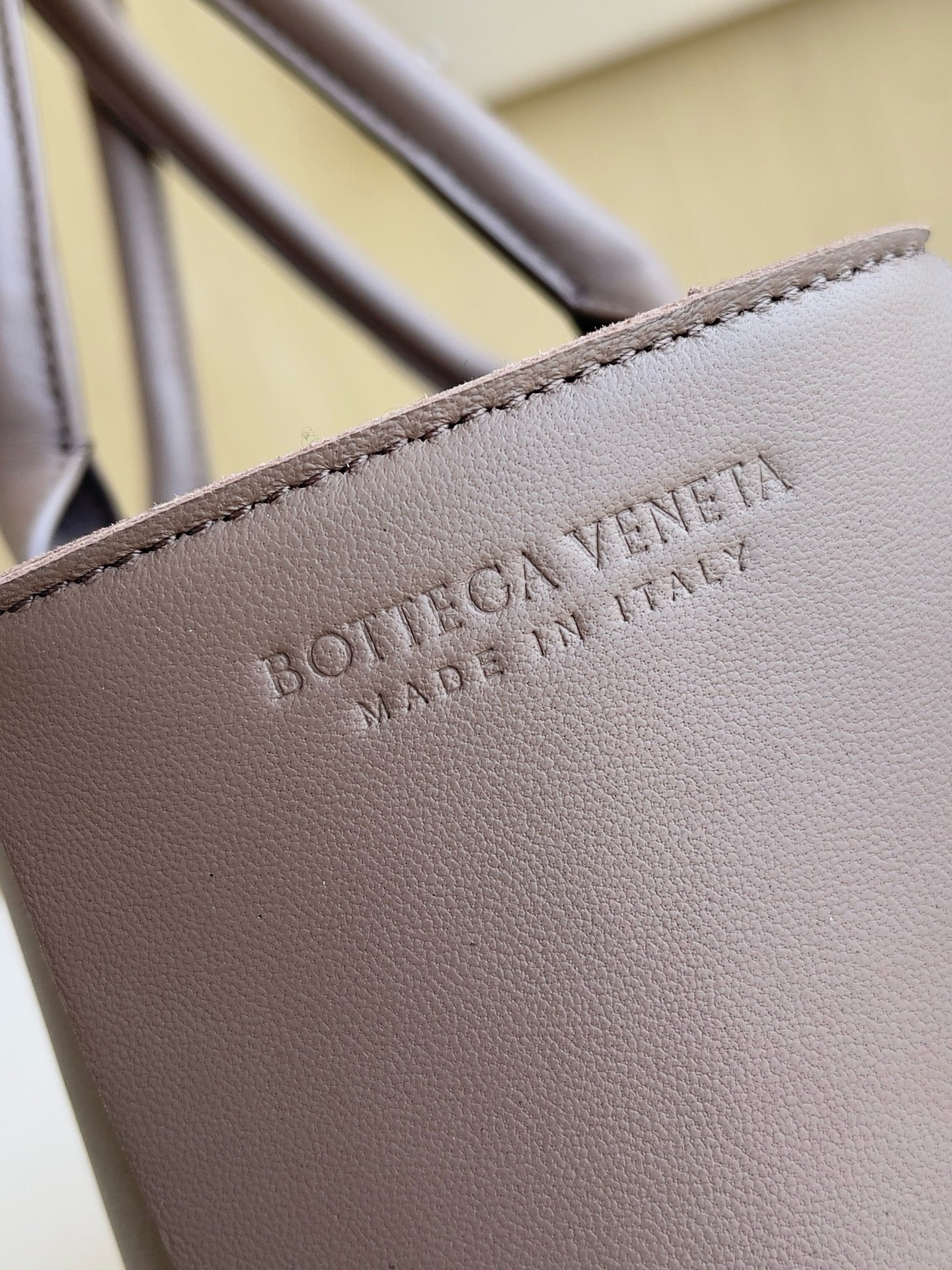 BV Mini Tote #2726
