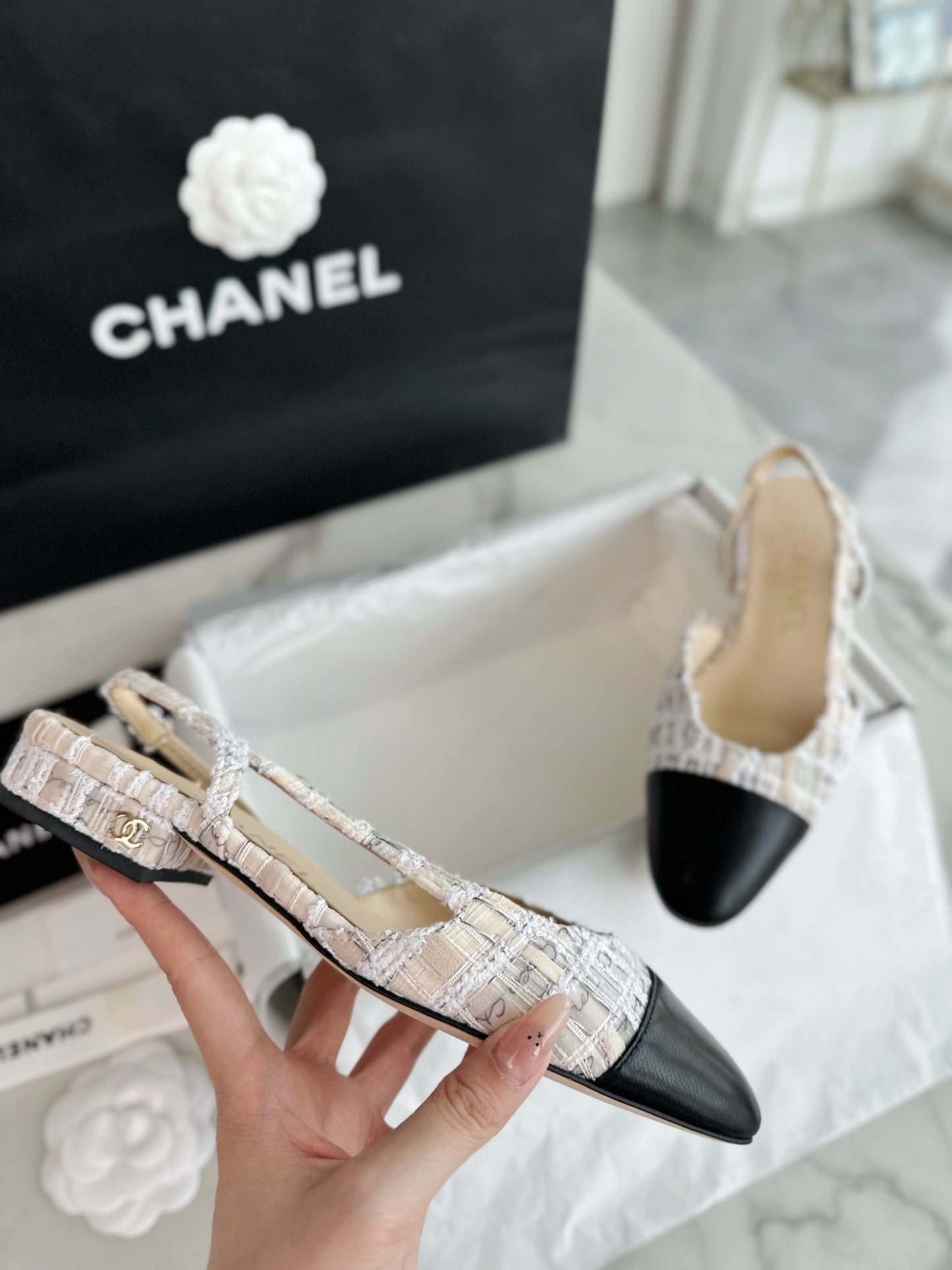 24s slingback #295