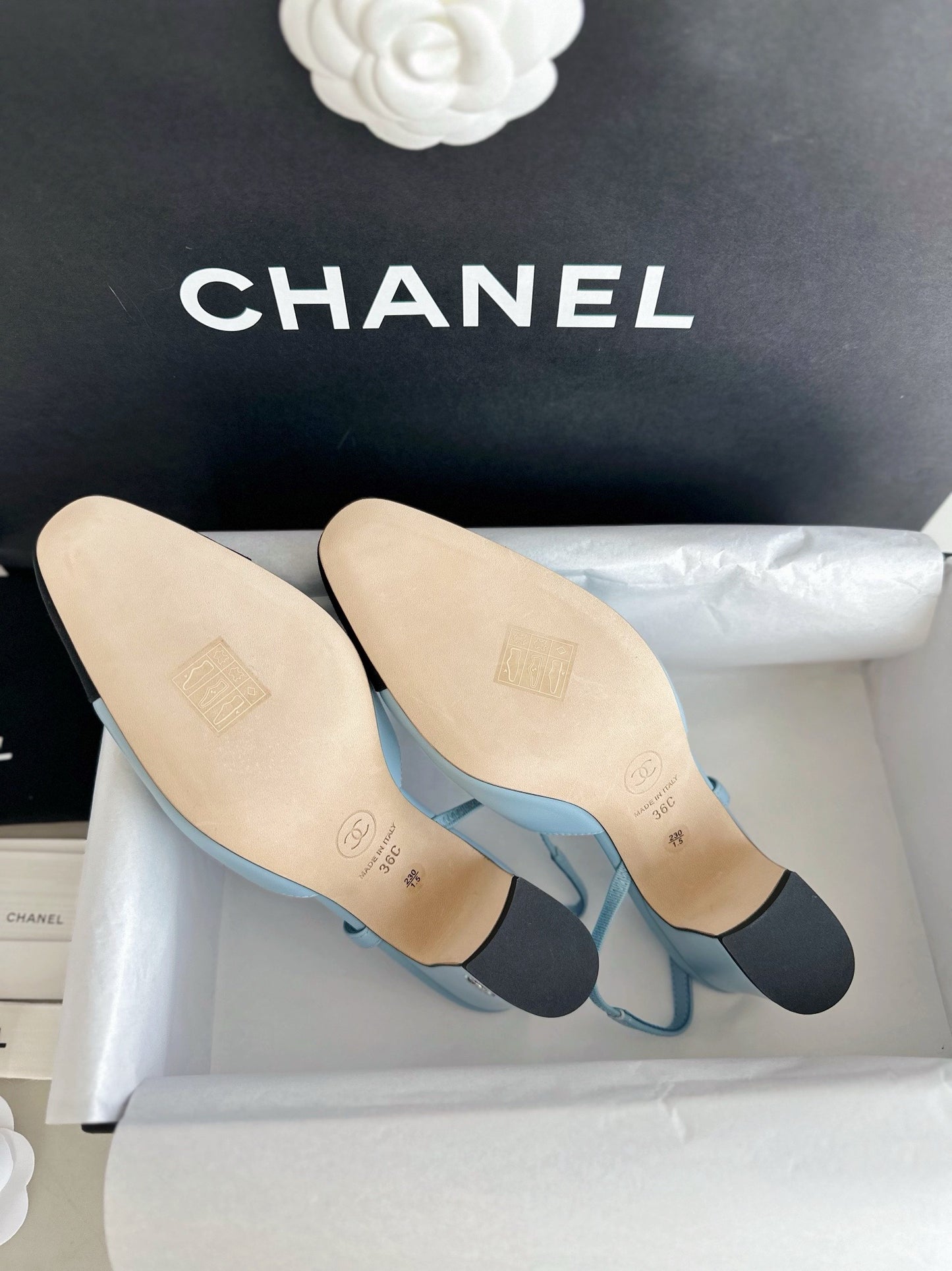 24s slingback #2463