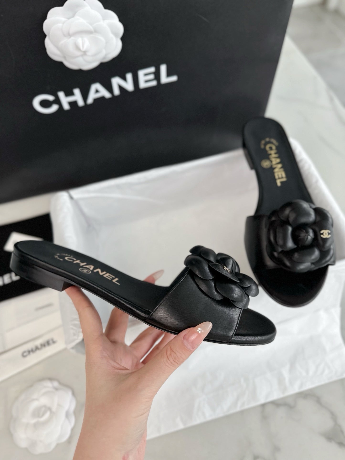 24s Sandal #2848