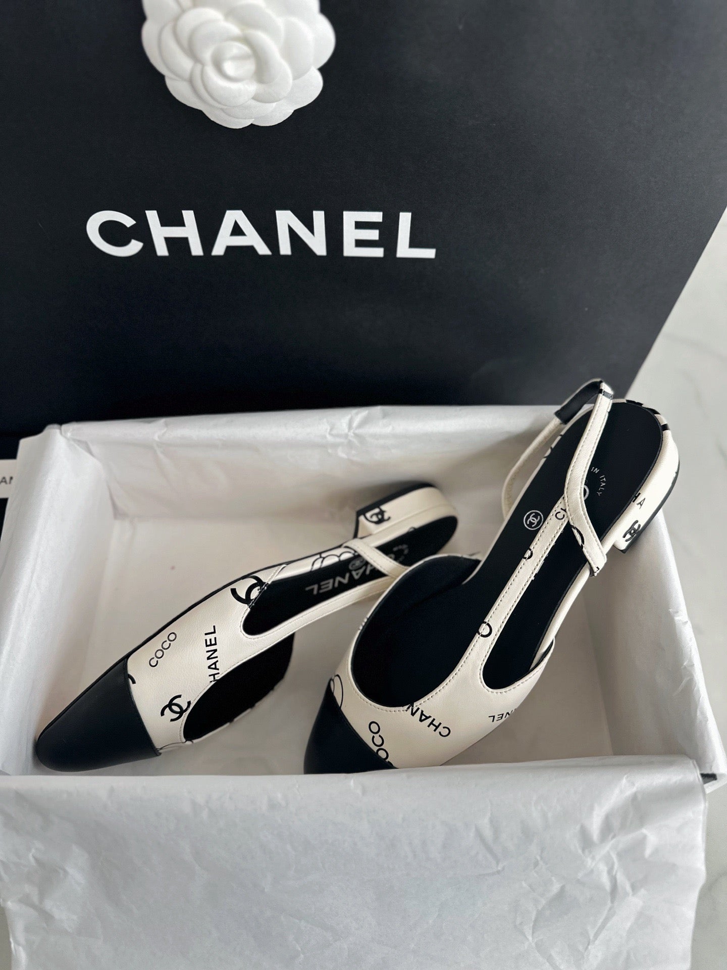 24s slingback #1528