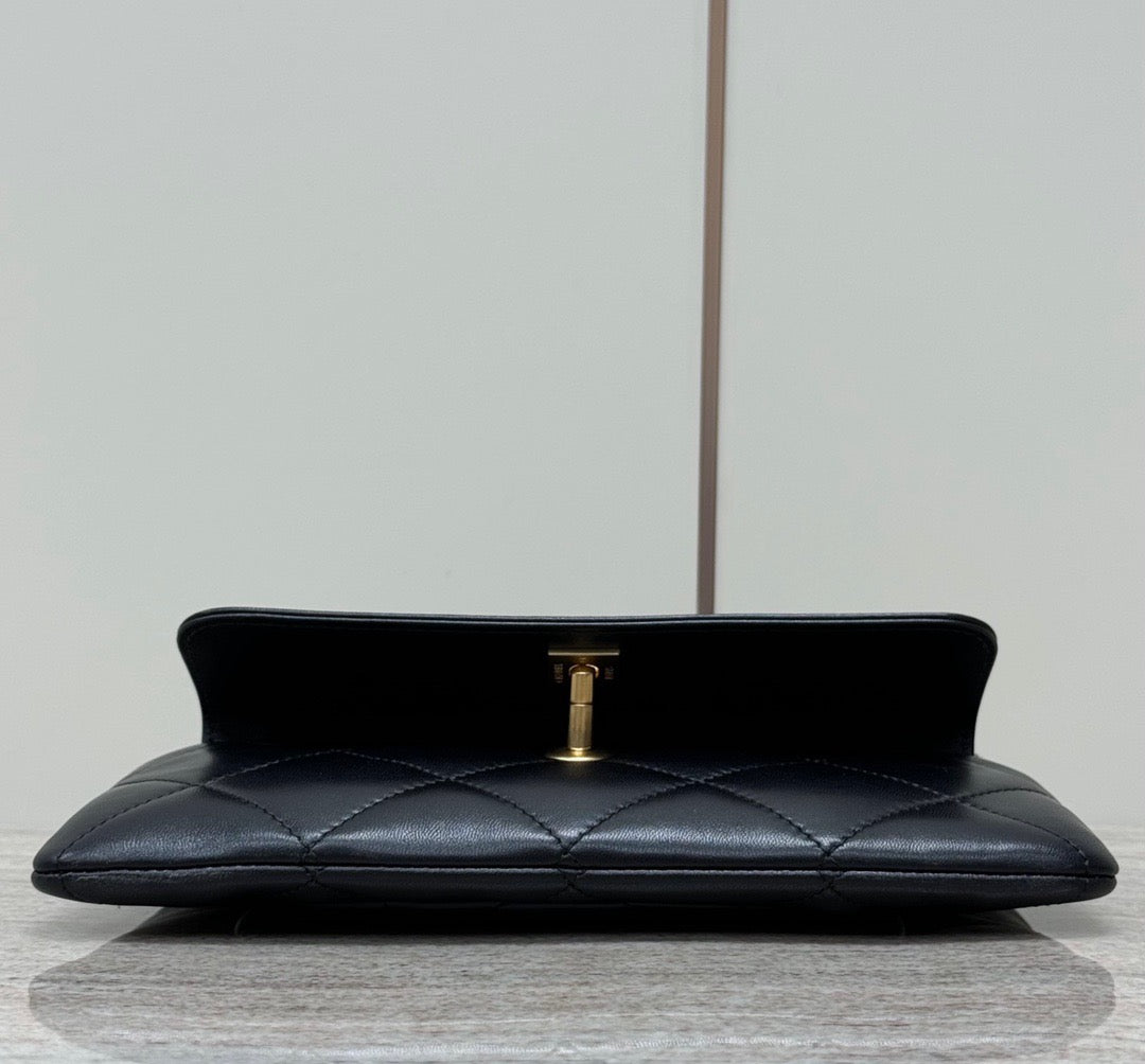 24B Bag #861