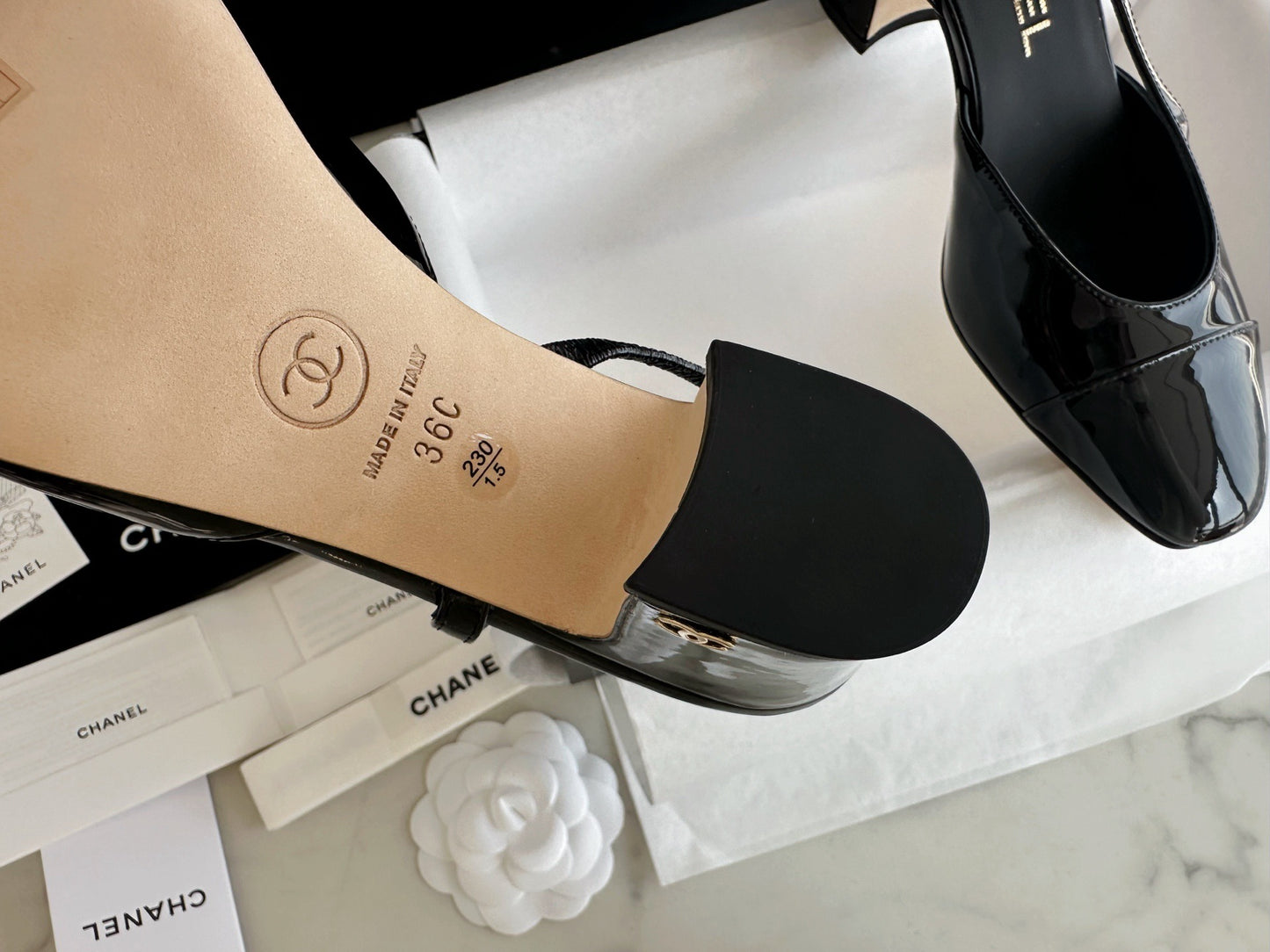 24s slingback #1529