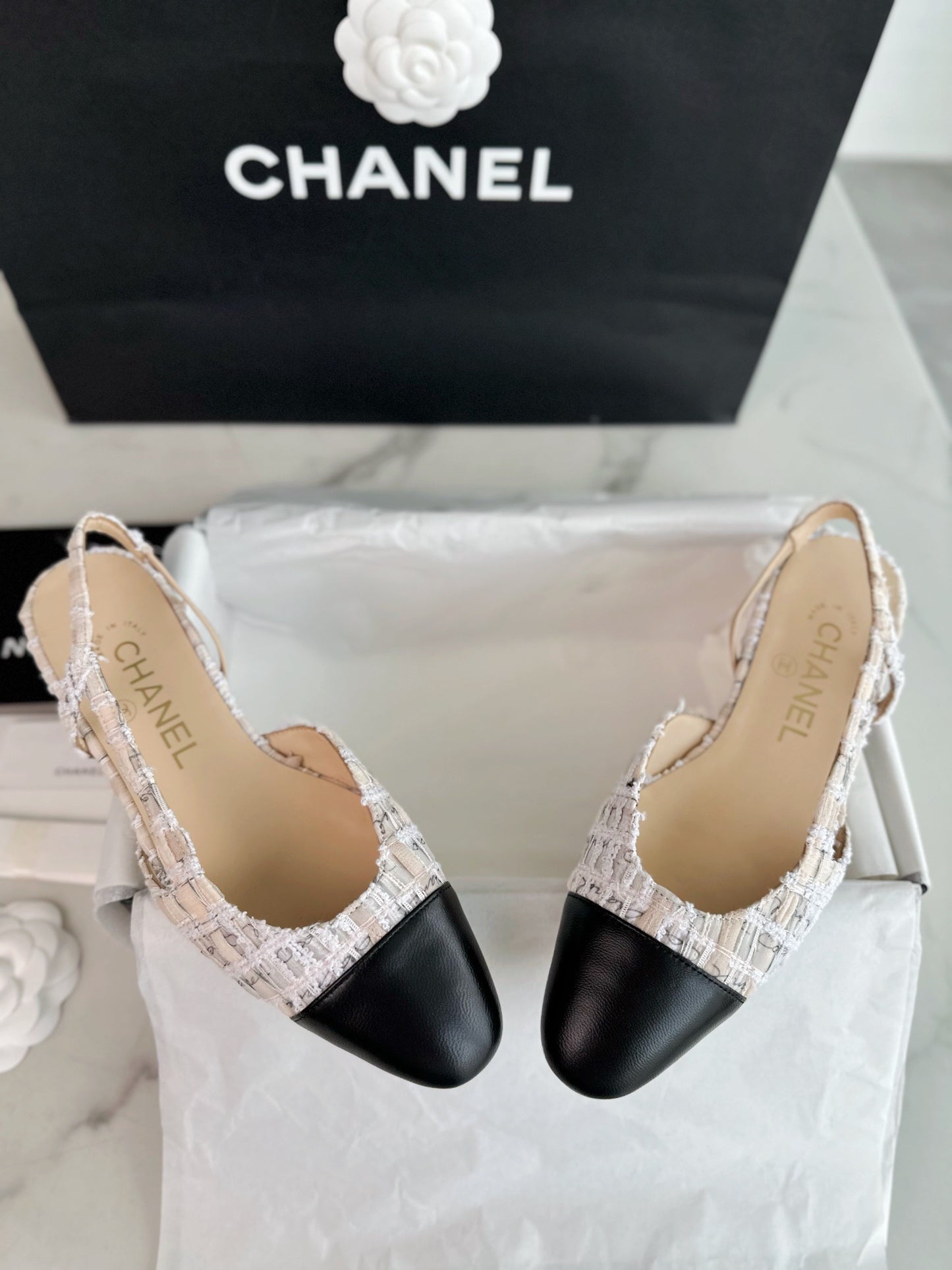 24s slingback #295