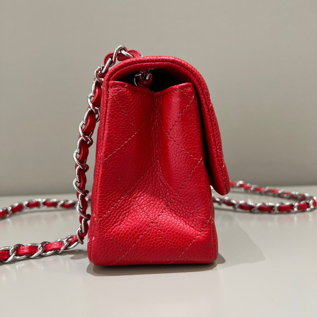 CF 17 Bag #786