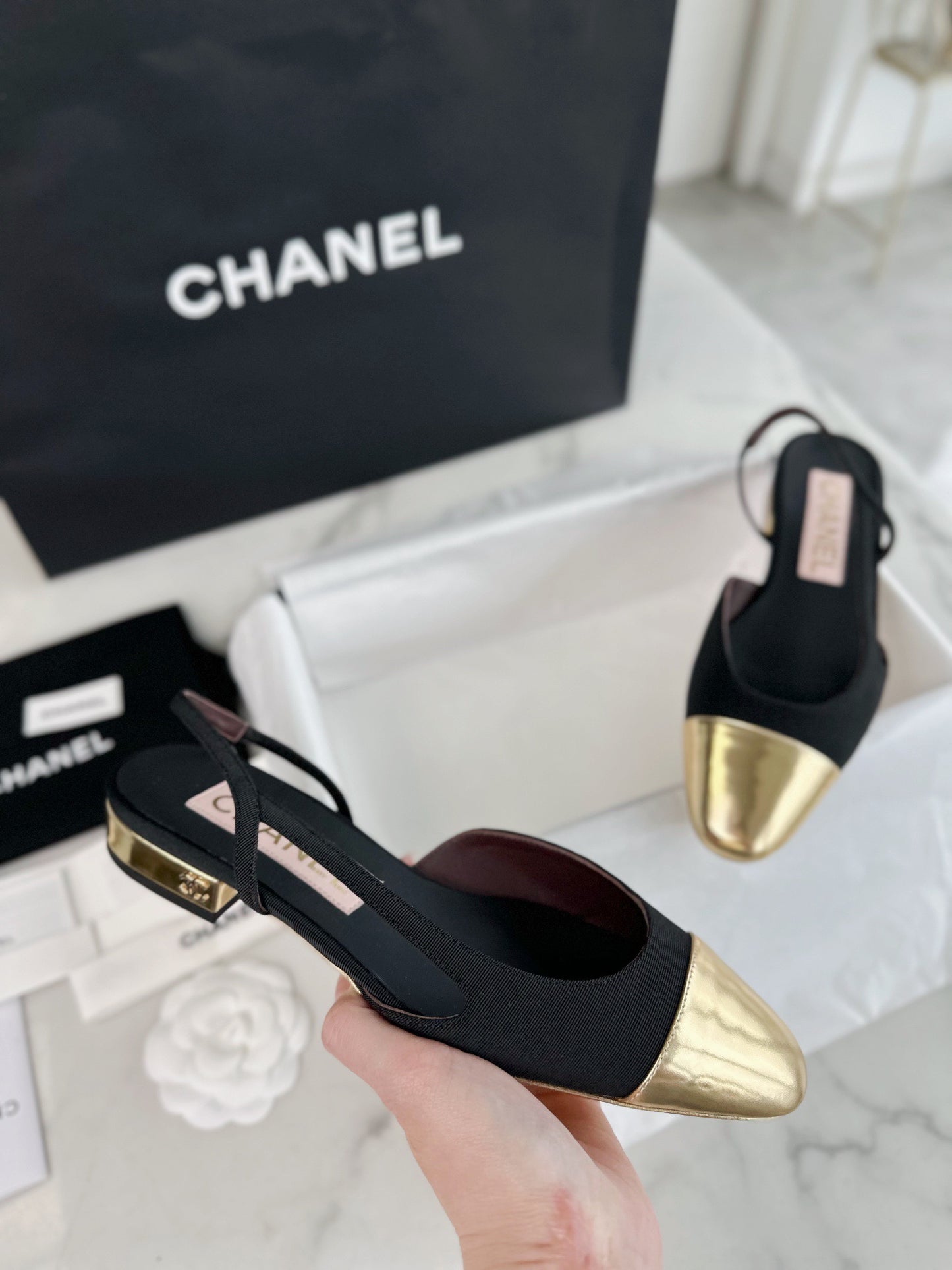 24s slingback #318