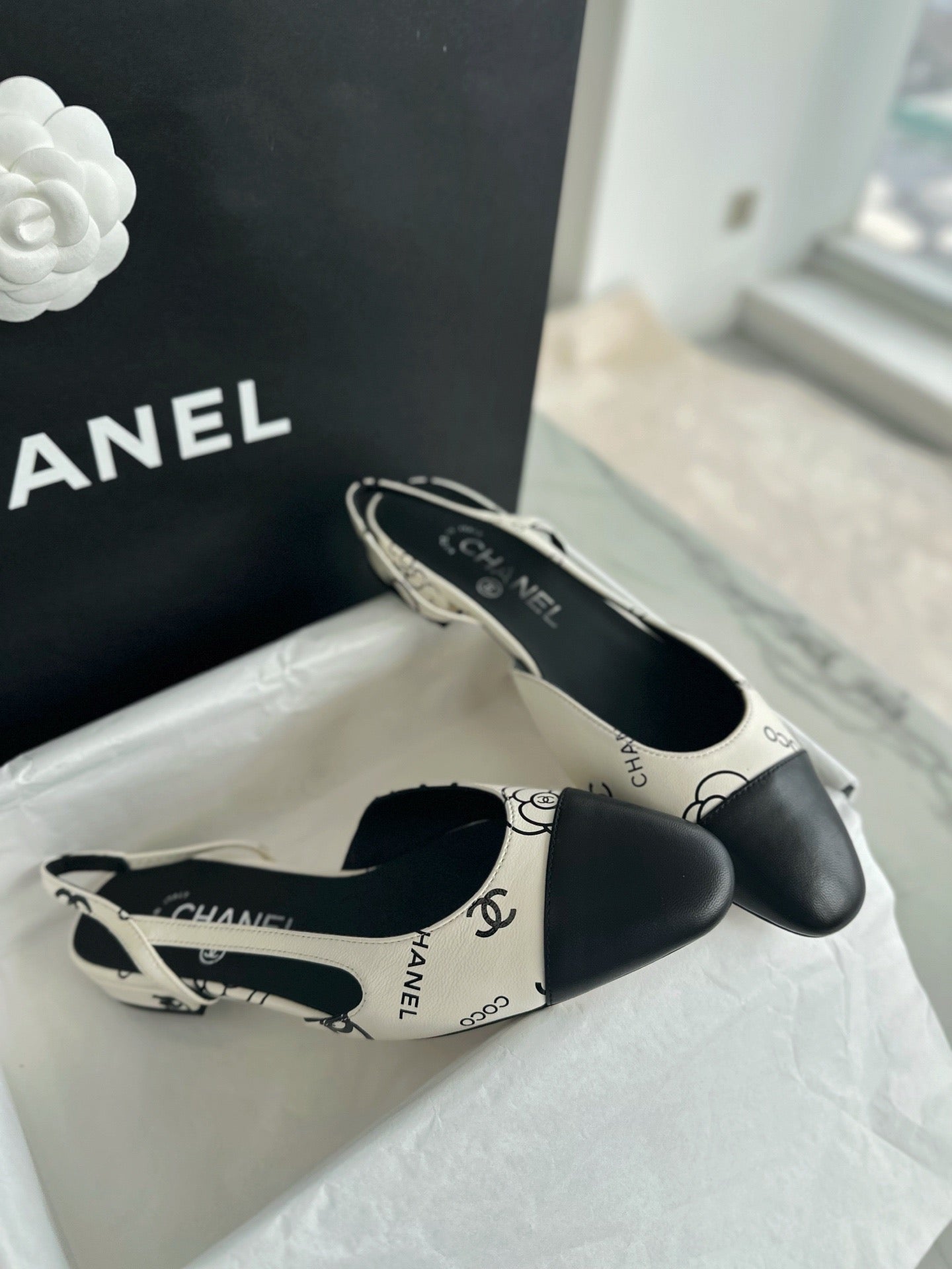 24s slingback #1528