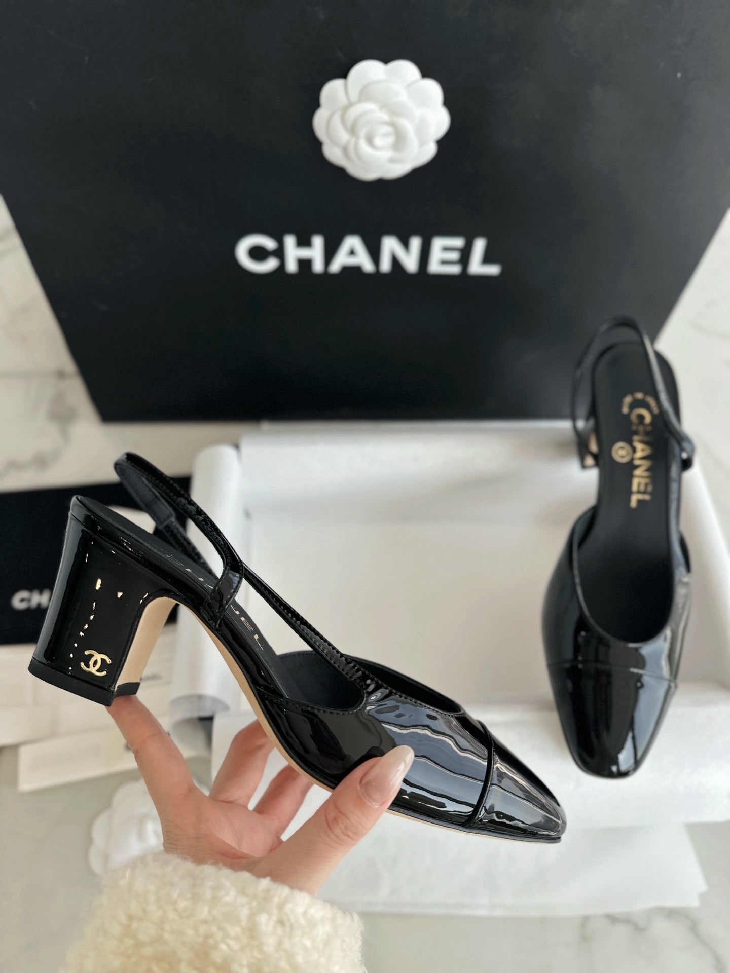 24s slingback #1529