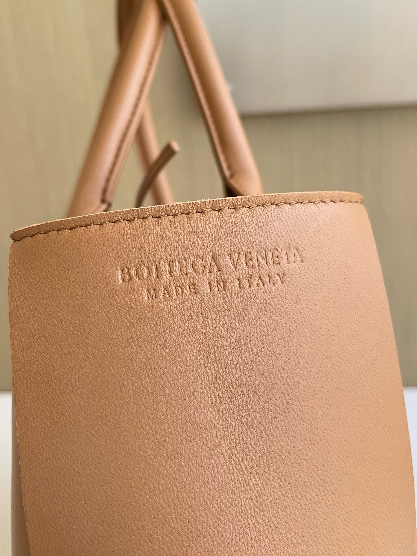 BV Mini Tote #2711