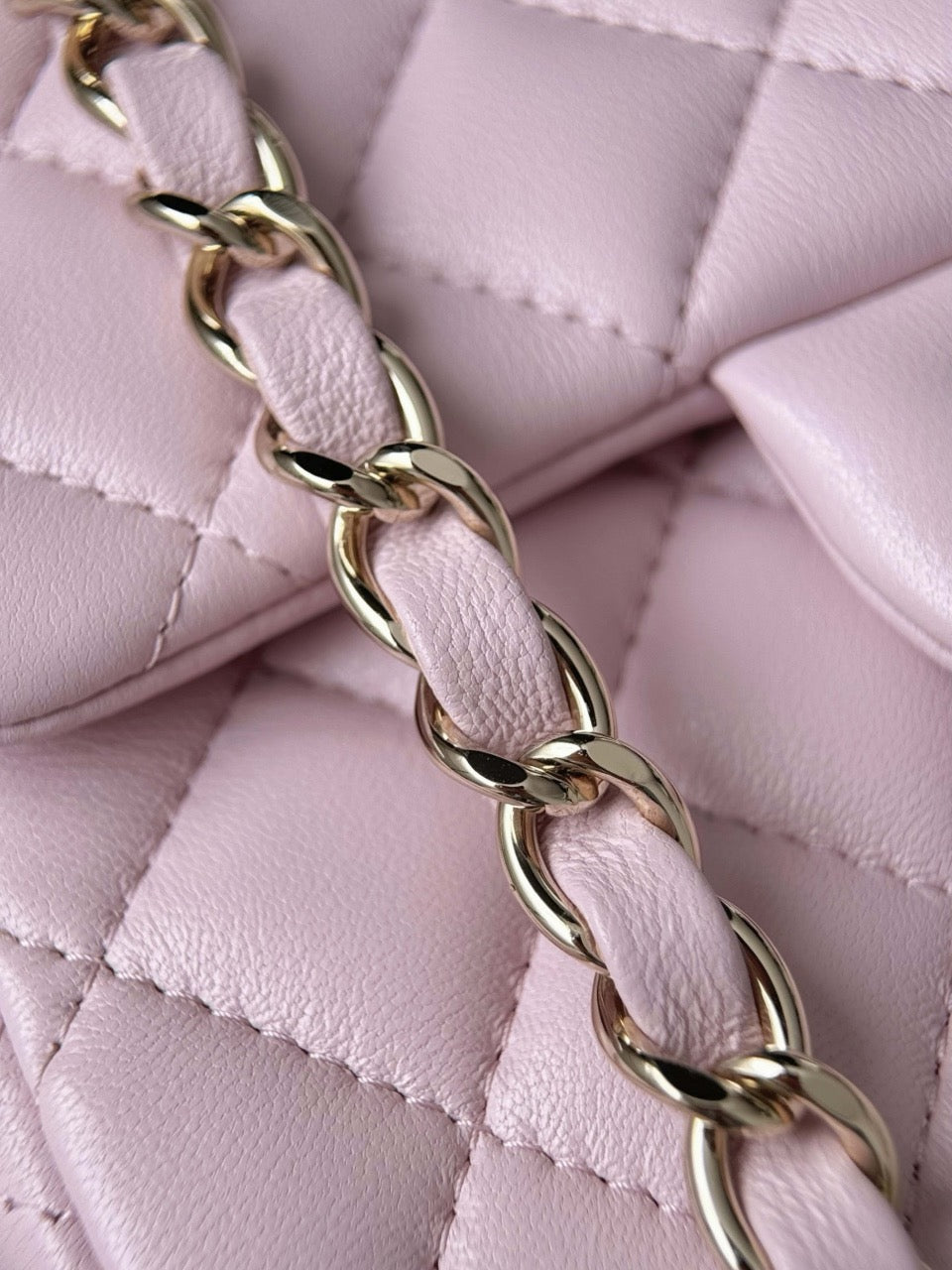 Cf17 Champagne Gold #3915