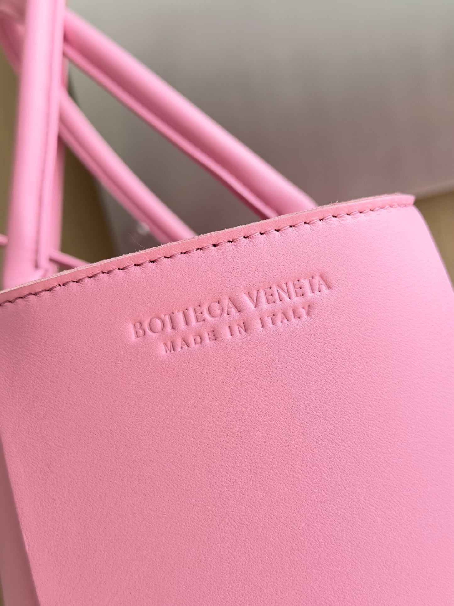 BV Mini Tote #2702