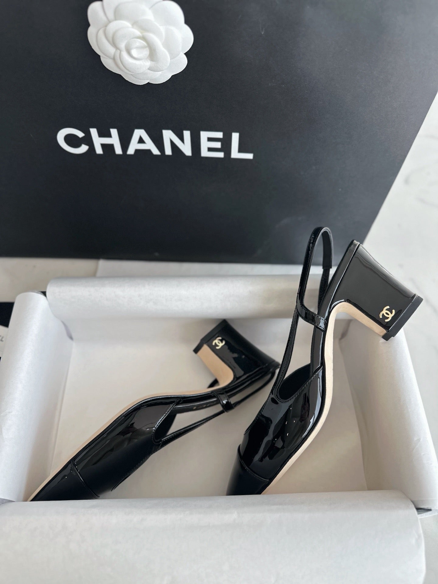 24s slingback #1529