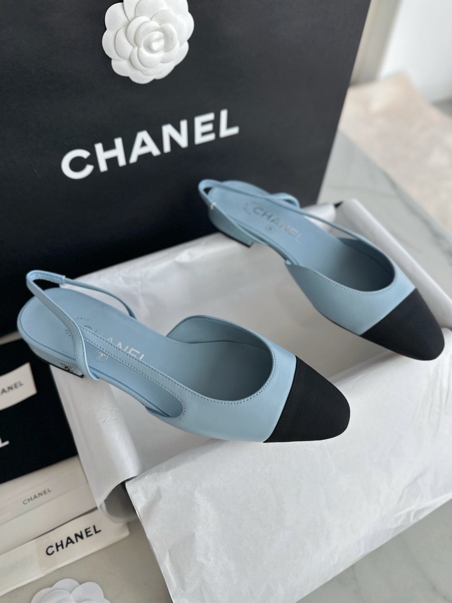 24s slingback #2464