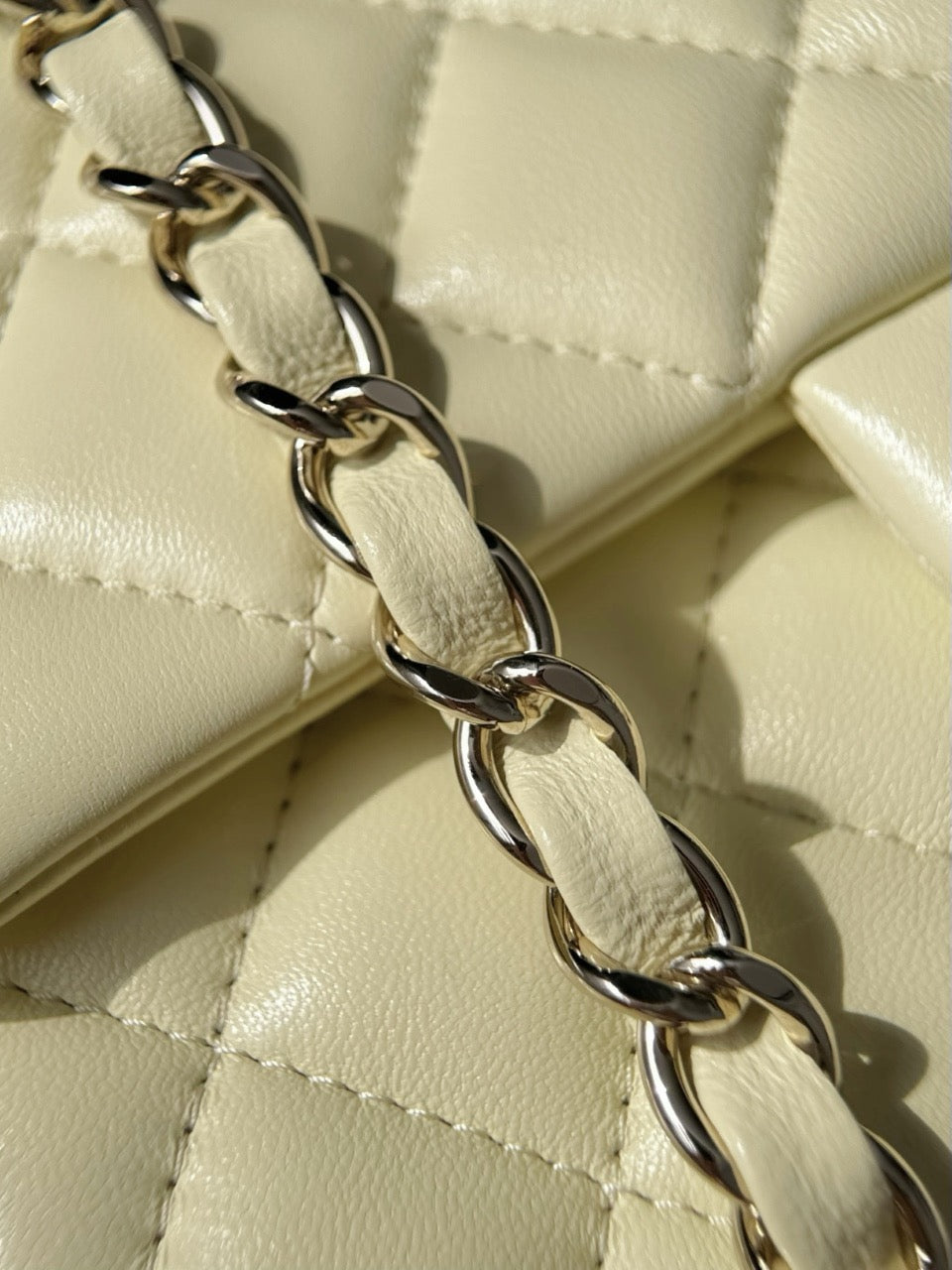 Cf20 Champagne Gold Hardware   #4679