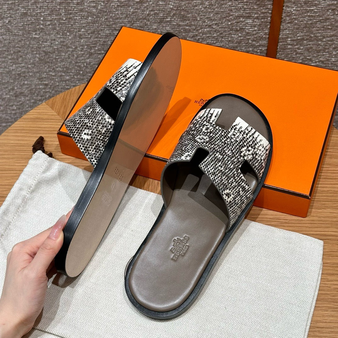 Izmir sandal lizard # 2567