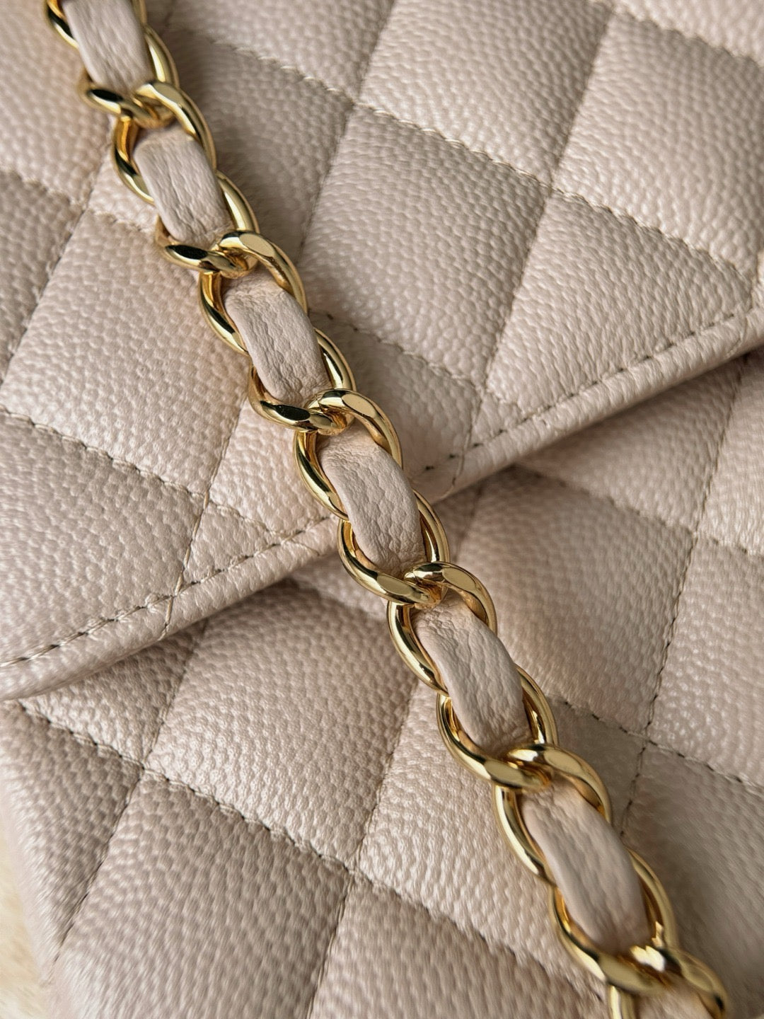 Cf25 Gold Hardware , Caviar # 4210