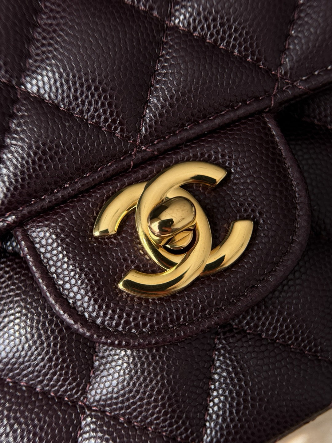 Cf25 Gold Hardware , Caviar # 4212