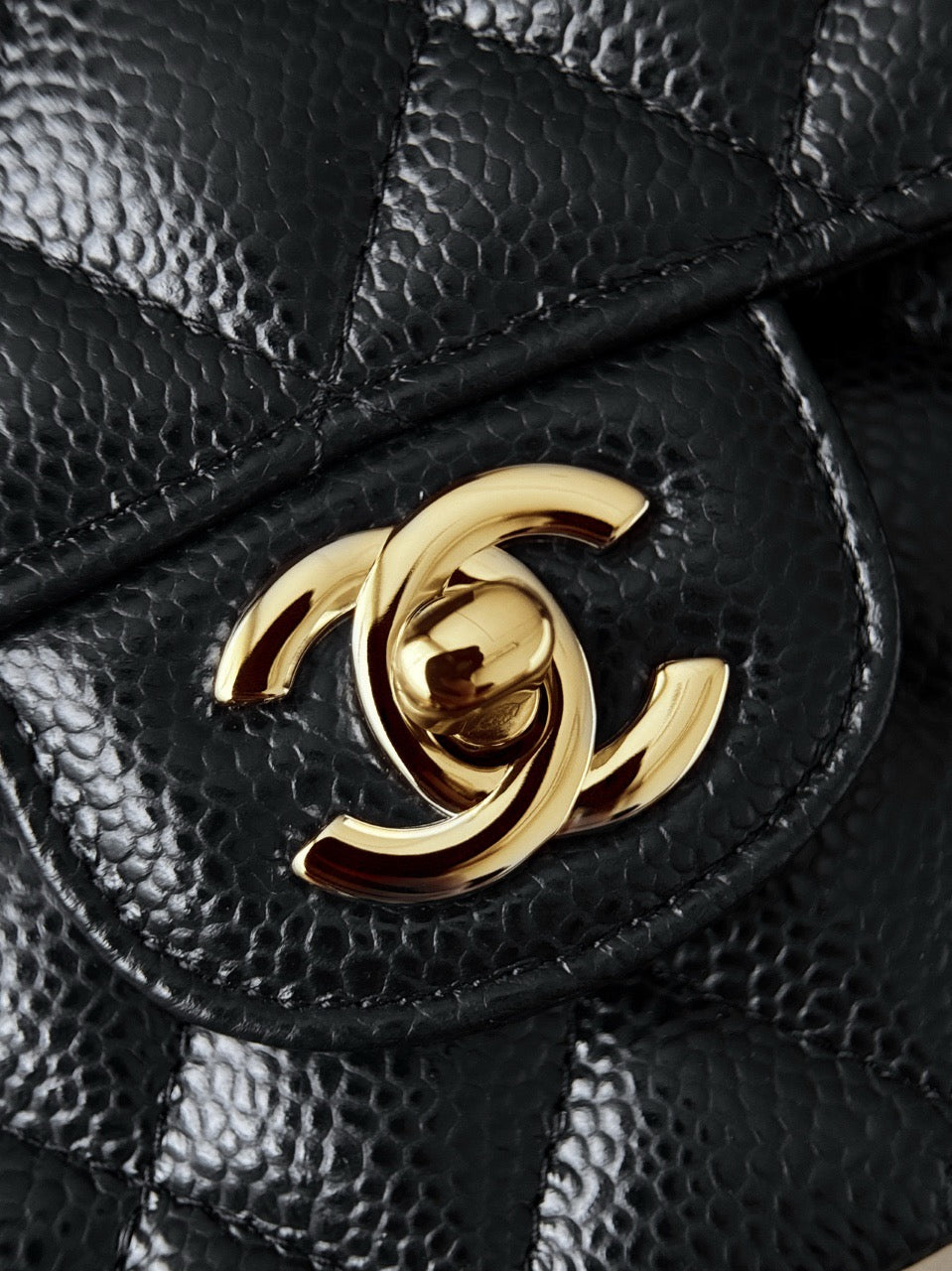 Cf25 Gold Hardware  , Caviar # 4217