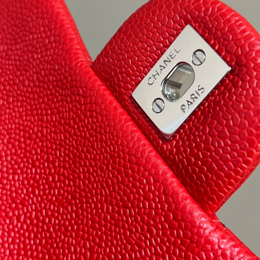 CF 17 Bag #786