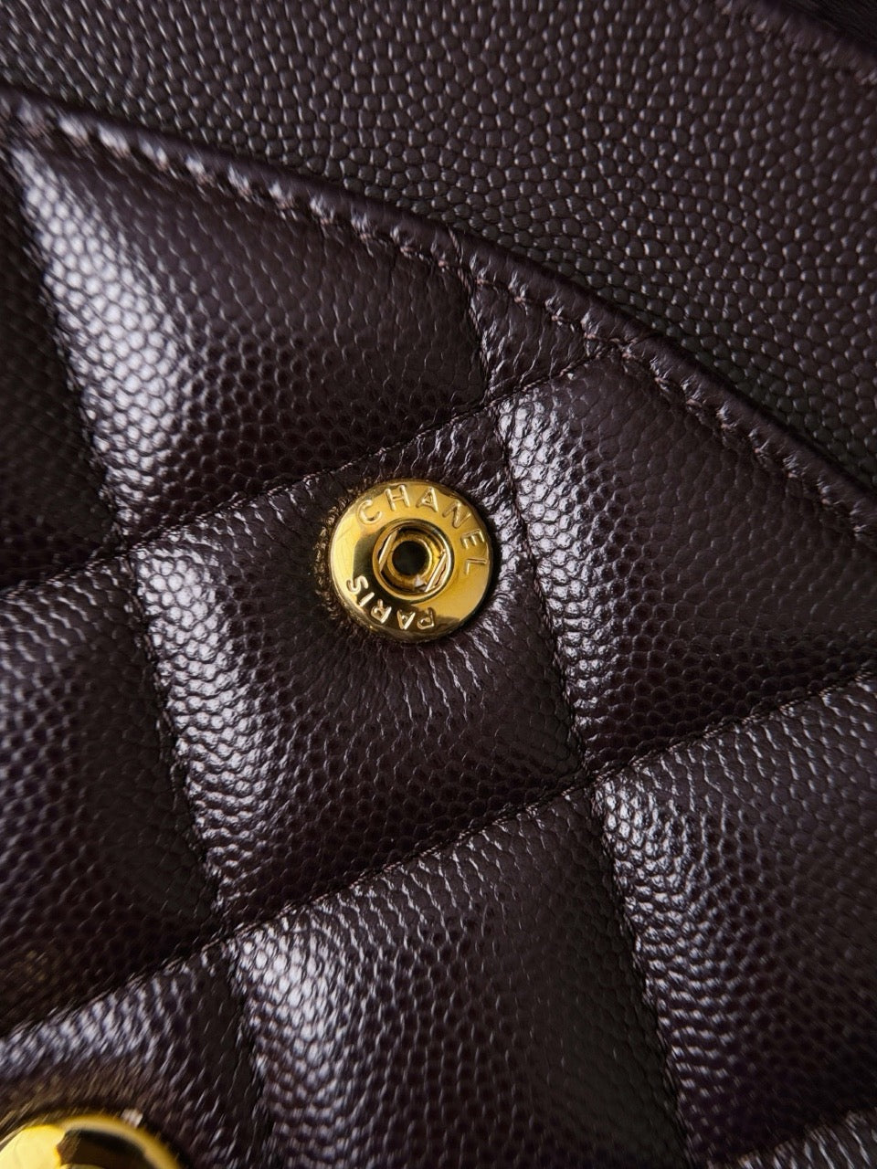 cf30 30 CM  Caviar #4189