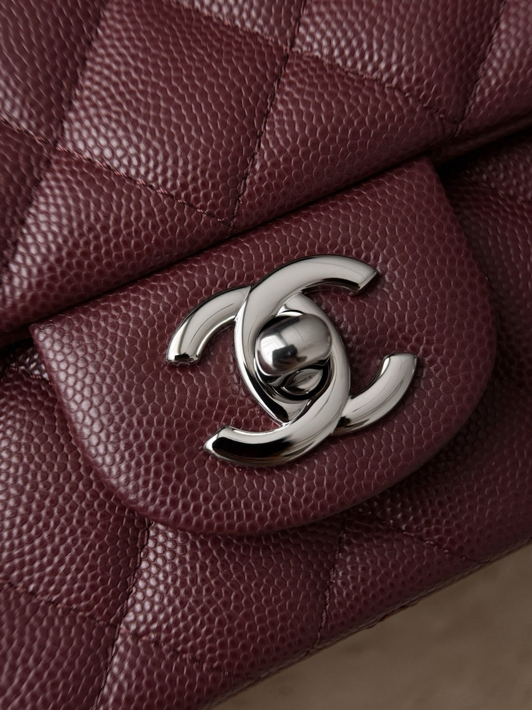 Cf20 Silver Hardware #4649