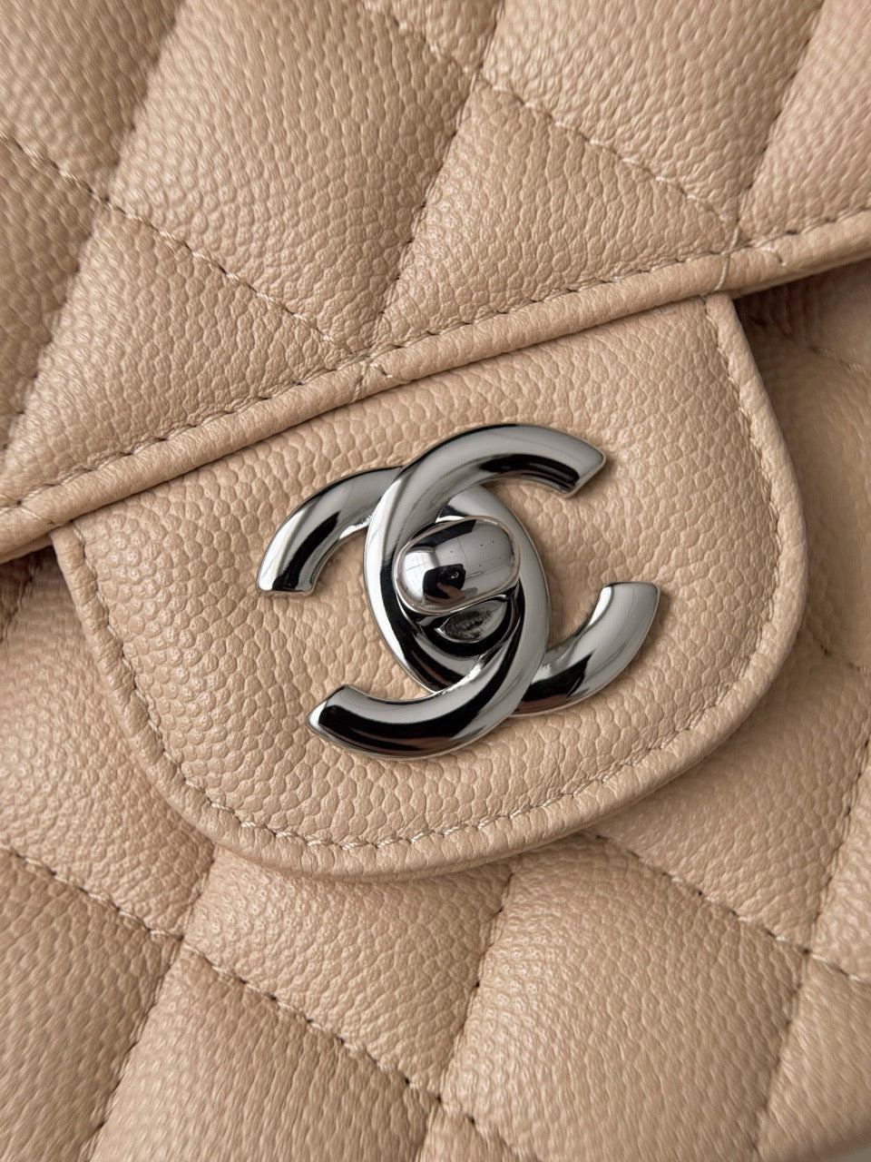 Cf25 Silver Hardware , Caviar # 4202