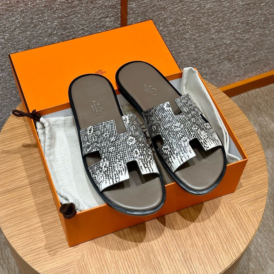 Izmir sandal lizard # 2567