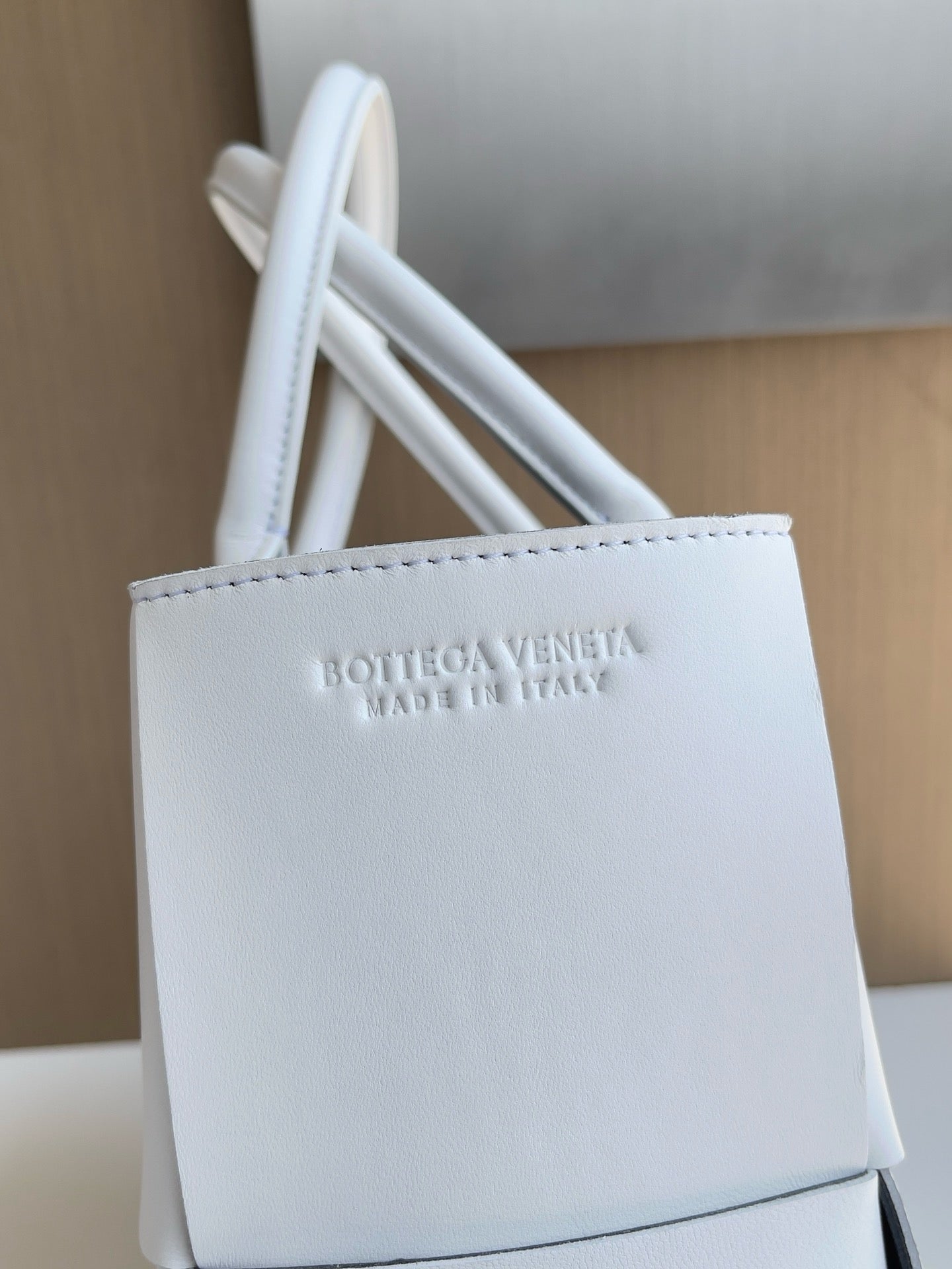 BV Mini Tote #2727
