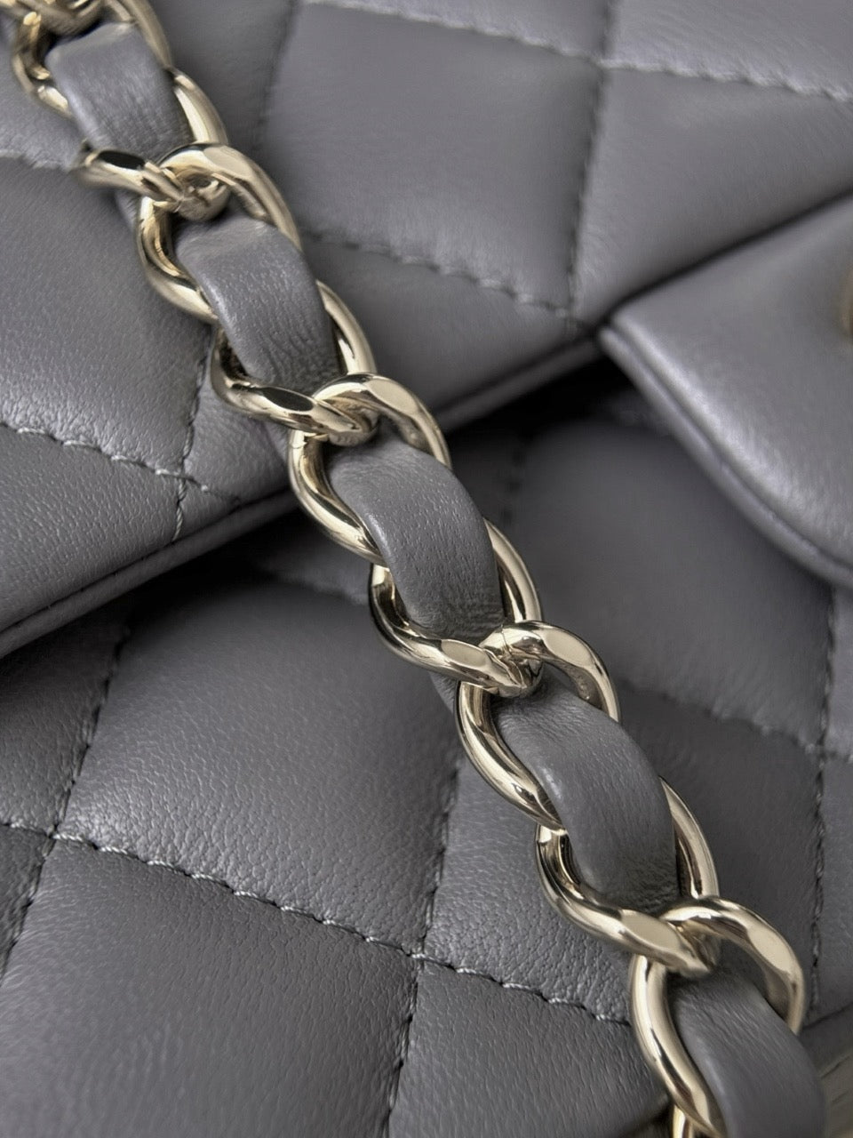 Cf20 Champagne Gold Hardware  #4674