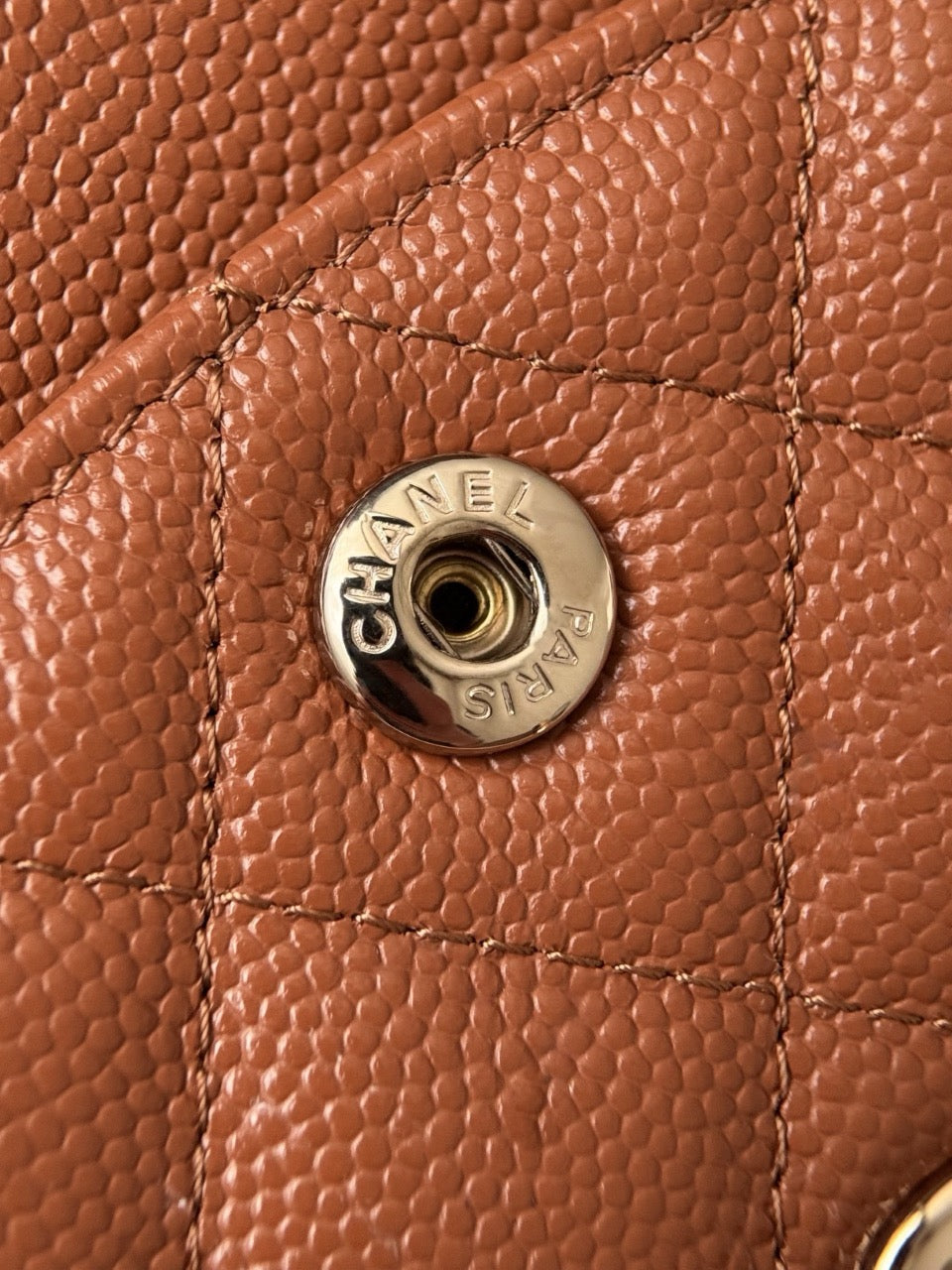 Cf23 Champagne Gold , Caviar # 4227