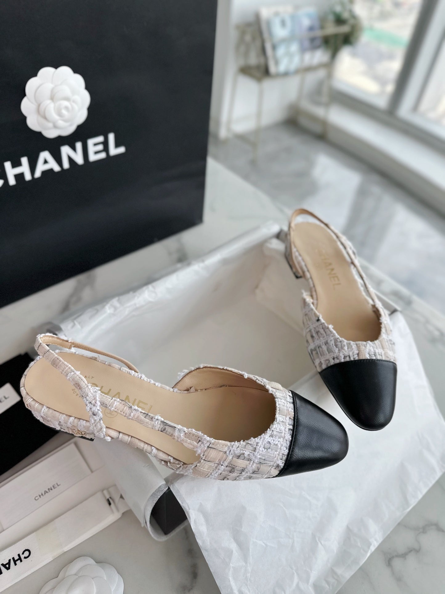 24s slingback #295