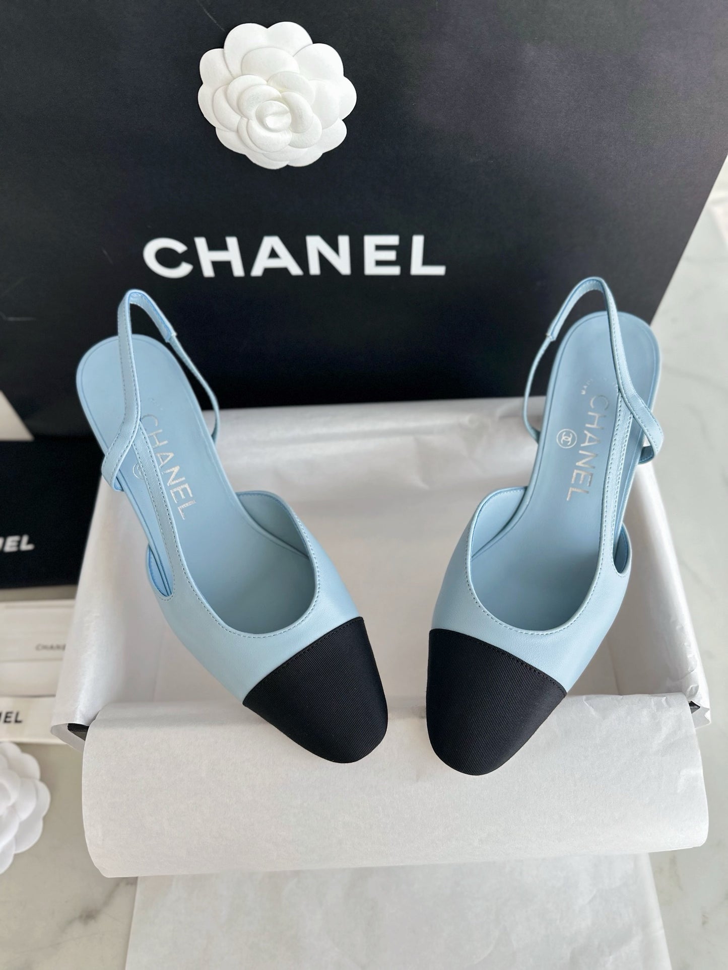 24s slingback #2463