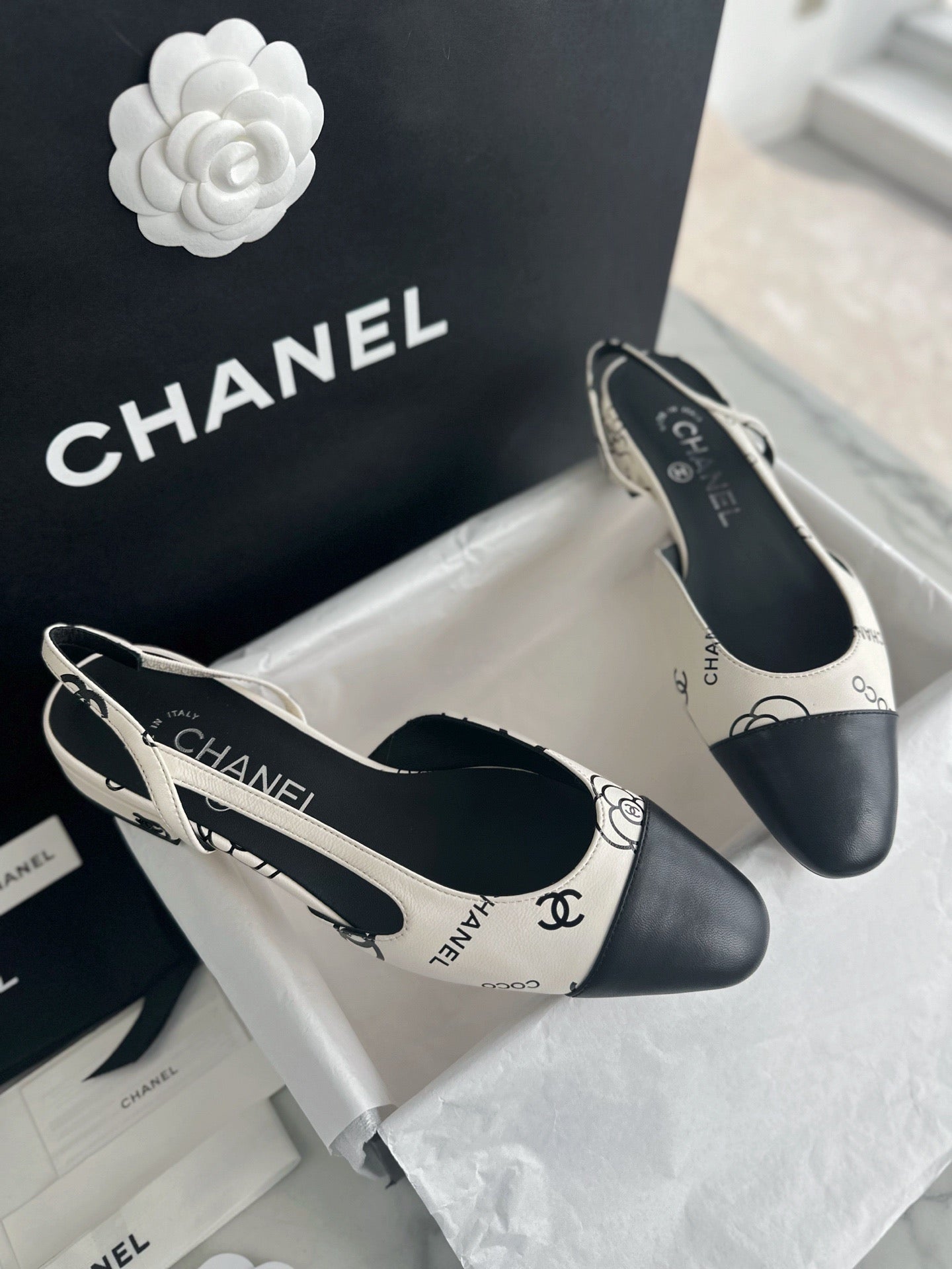 24s slingback #1528