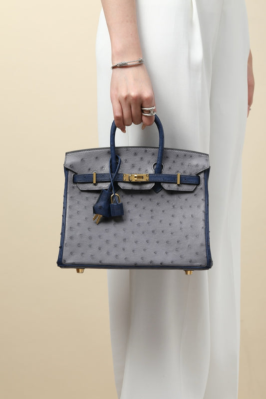 BK25 Onyx Gray/Iris Blue # 3894