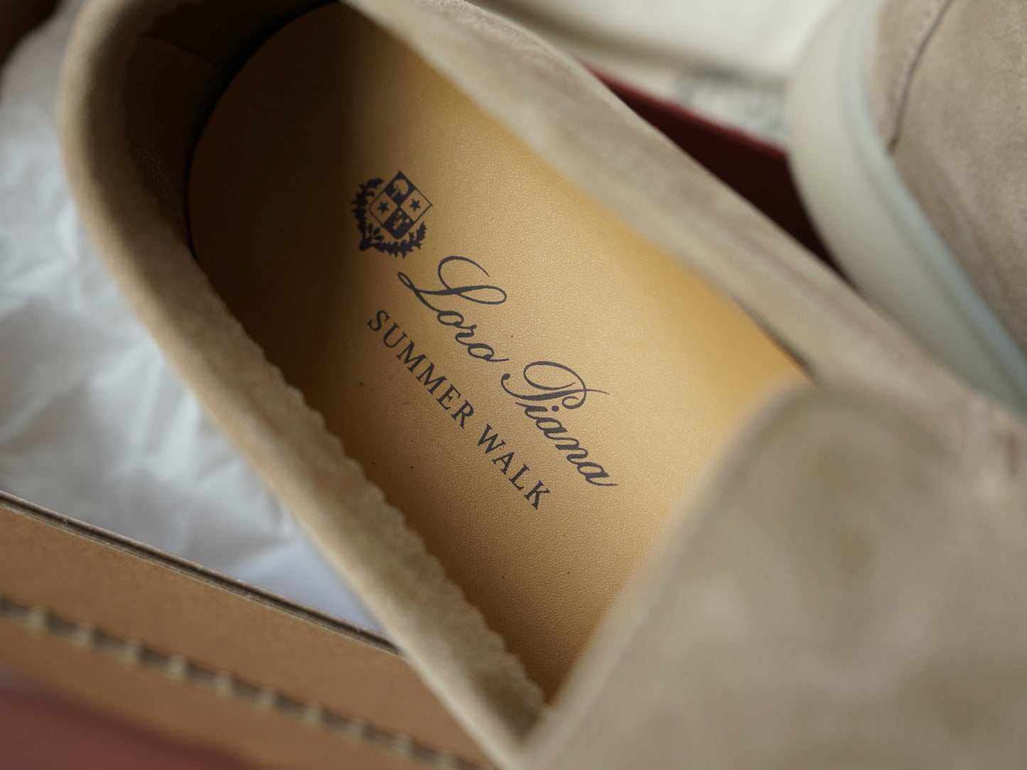 LP Summer walk #2667