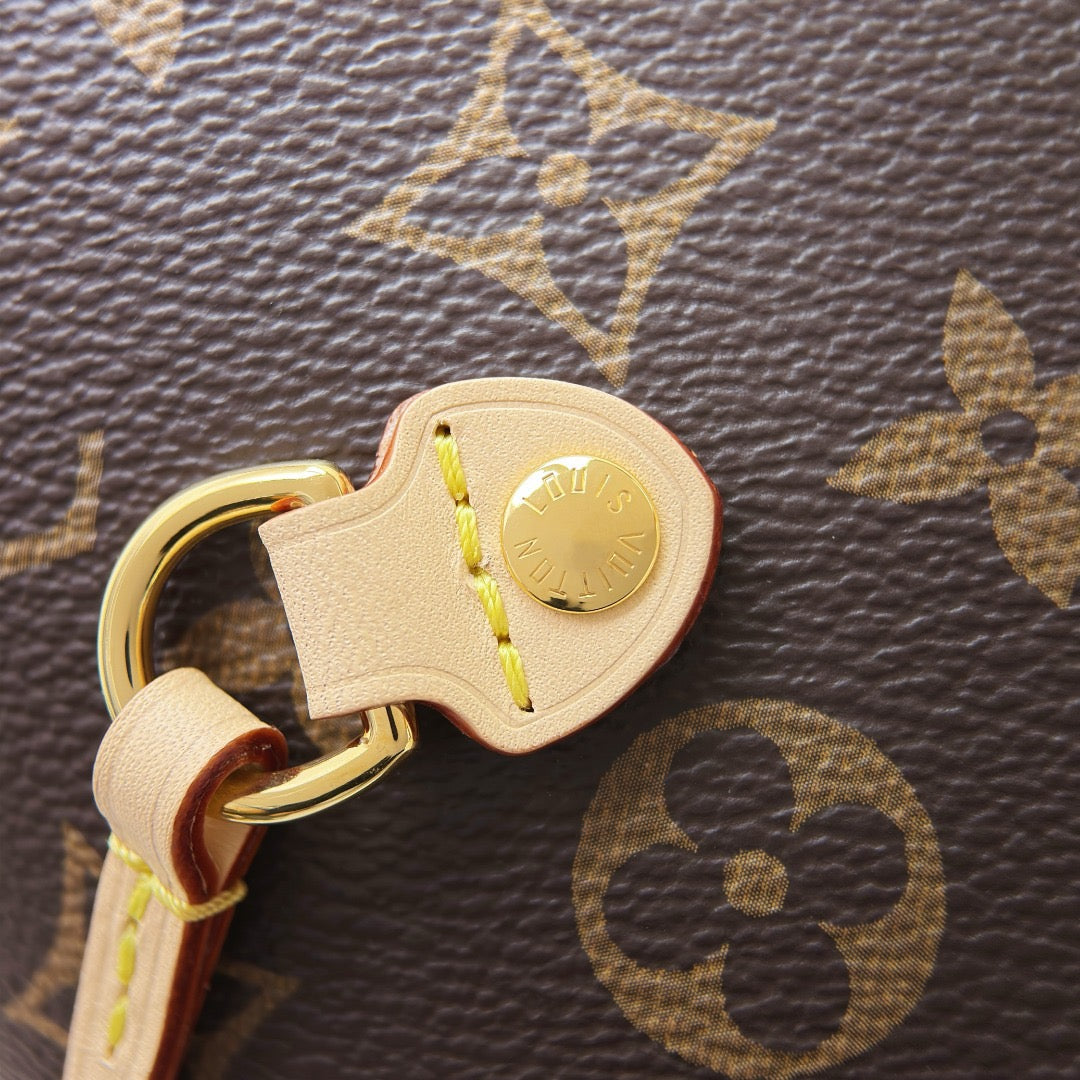 neverfull-bige #1448