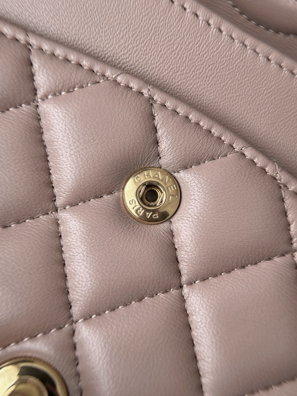 Cf25 Champagne Gold #3692