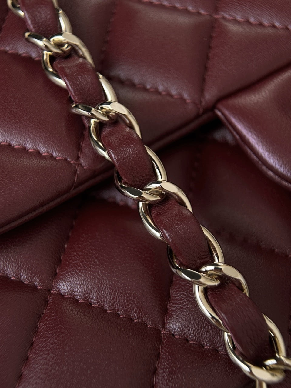 Cf20 Champagne Gold #3701