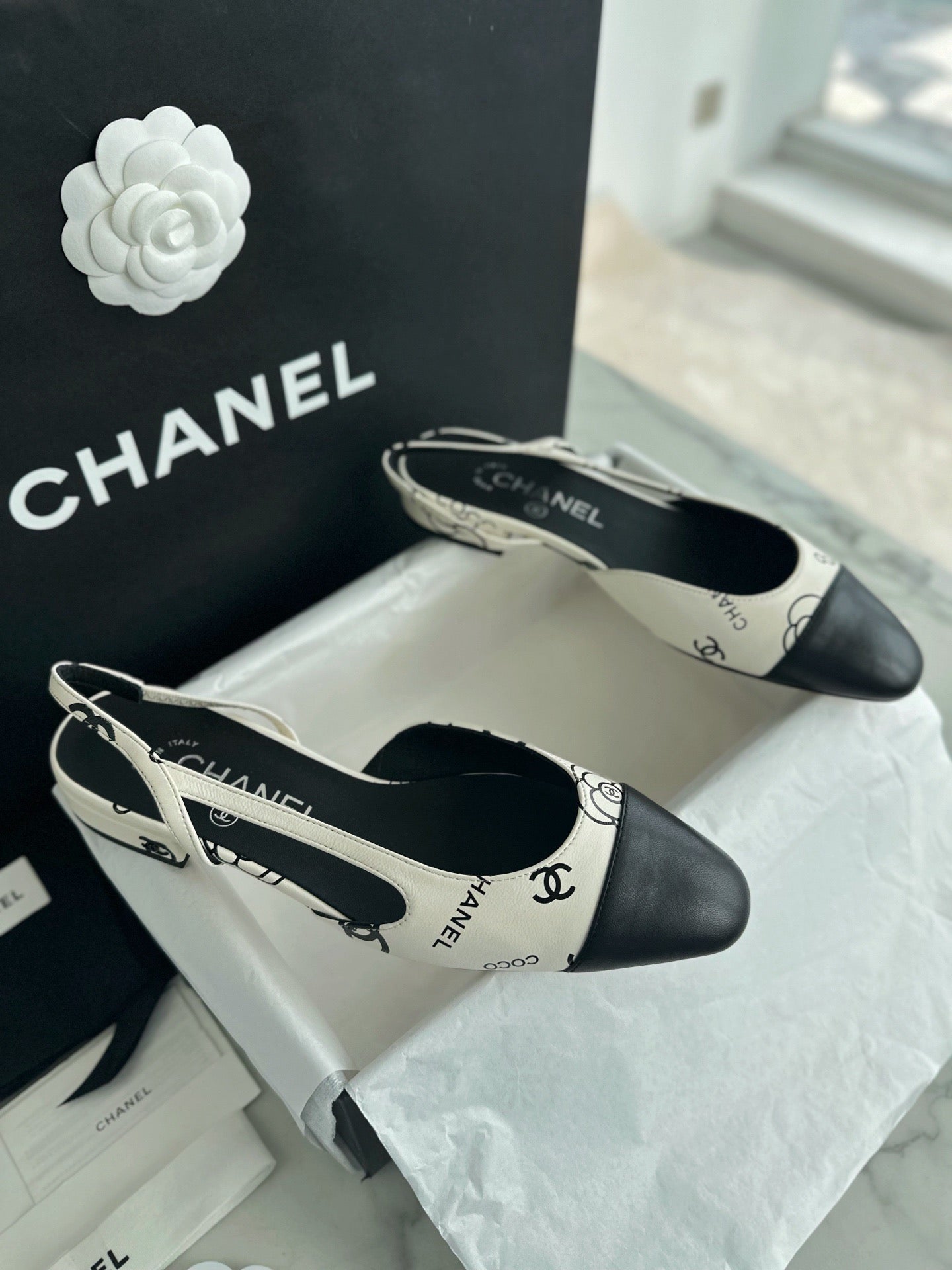 24s slingback #1528